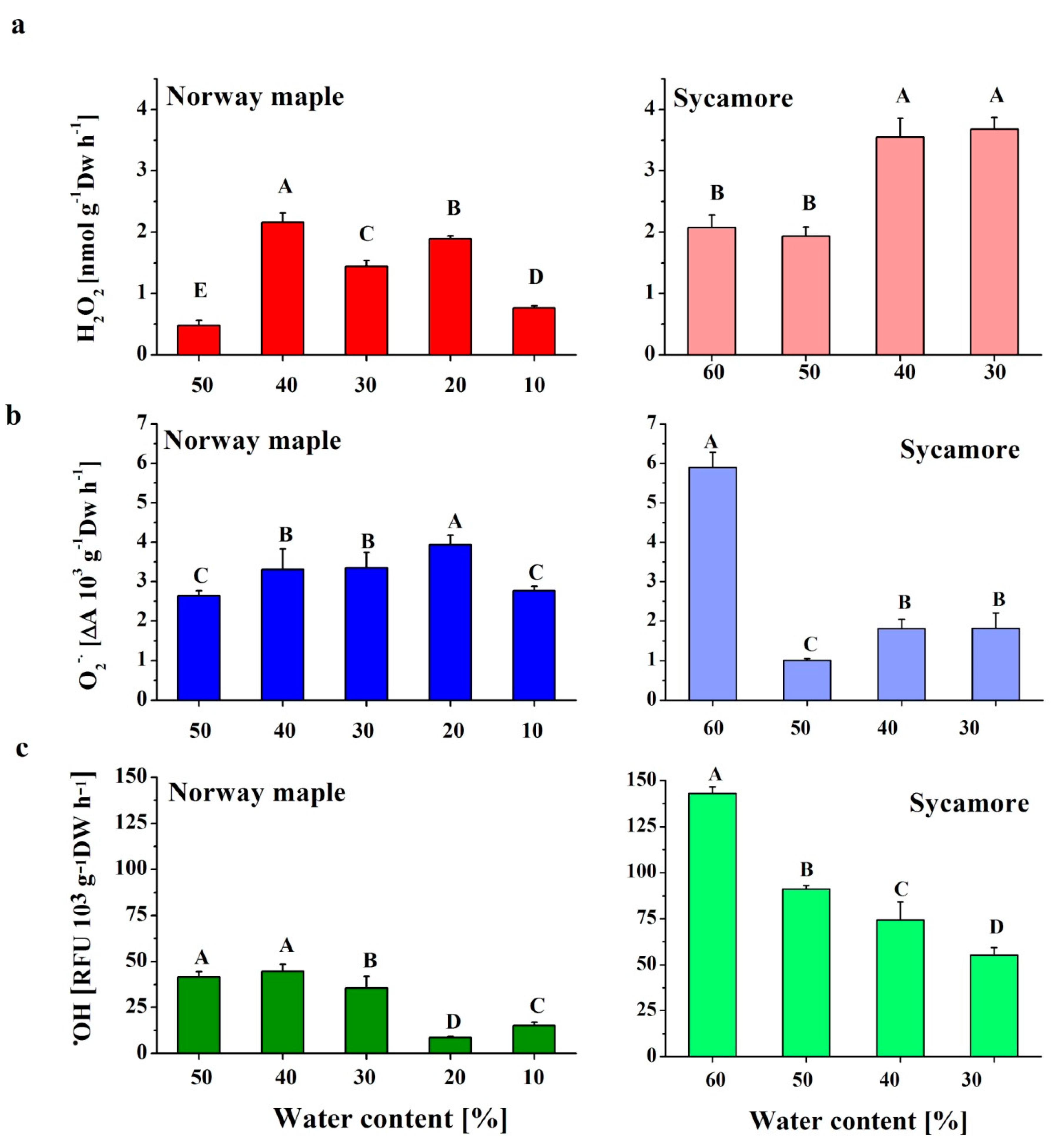 Antioxidants 09 00391 g001