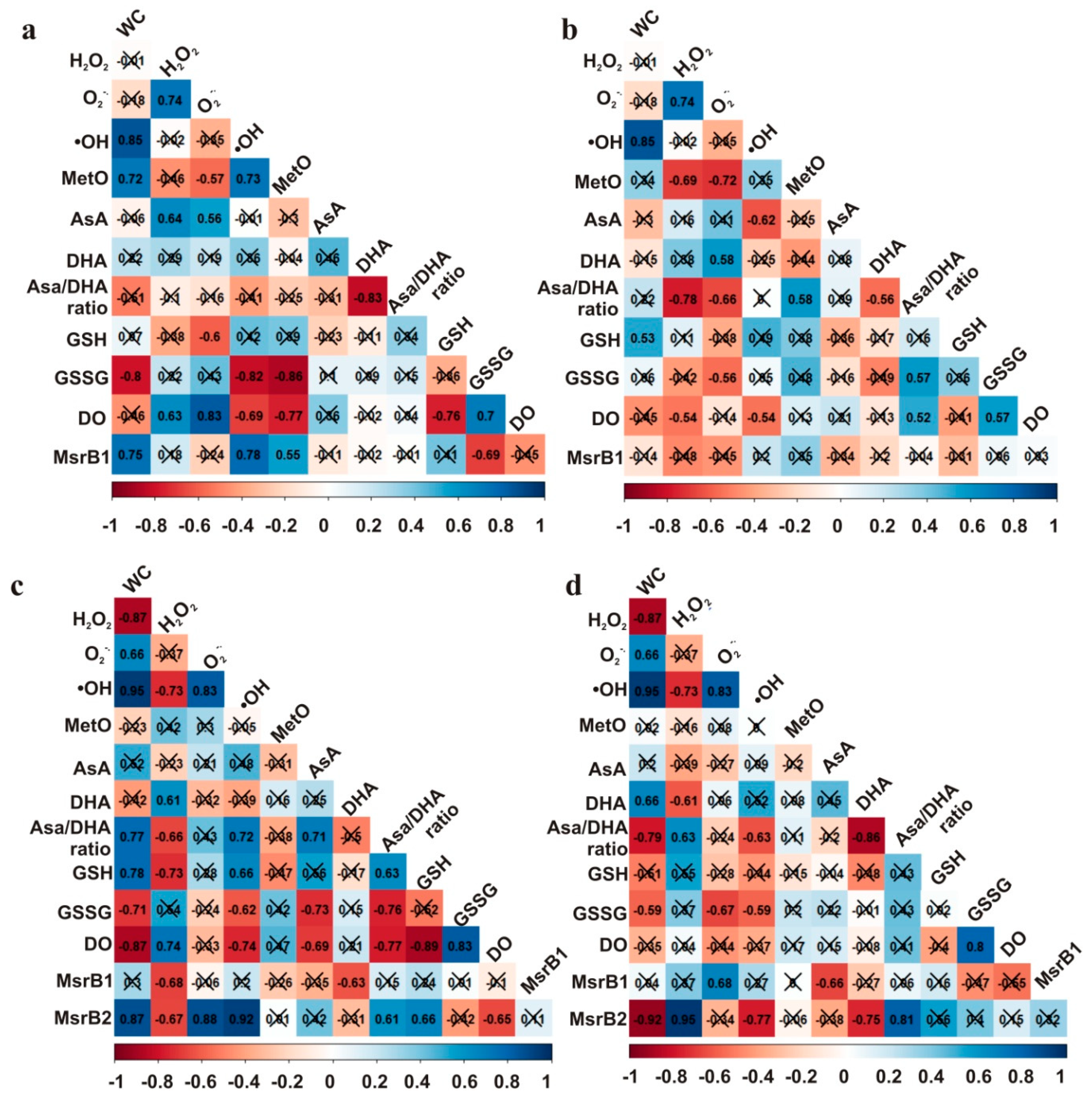 Antioxidants 09 00391 g010