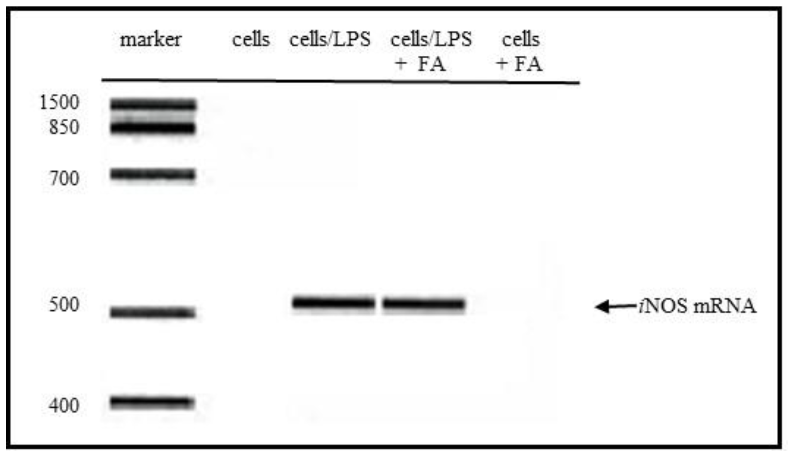 Antioxidants 09 00393 g003