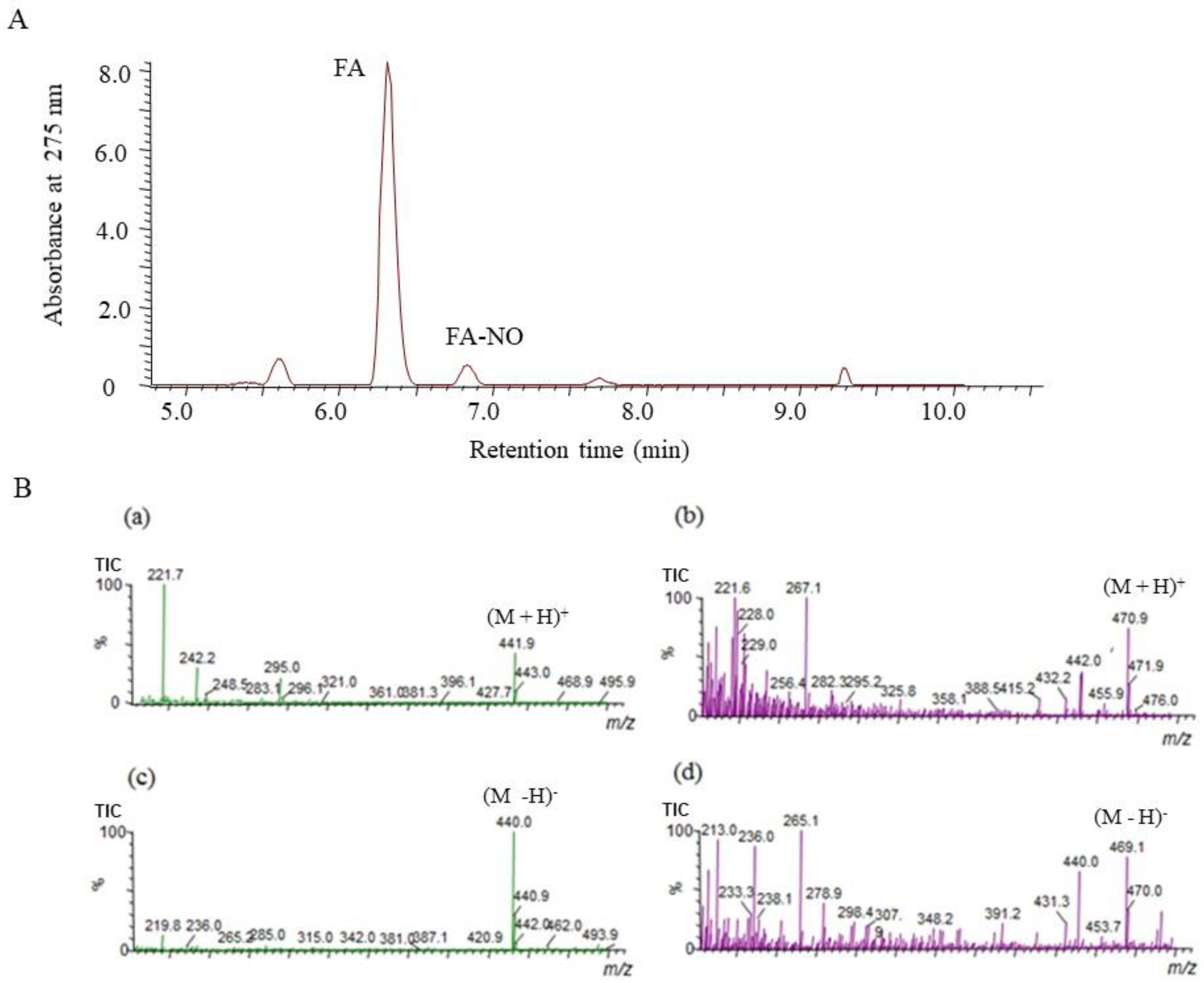 Antioxidants 09 00393 g004