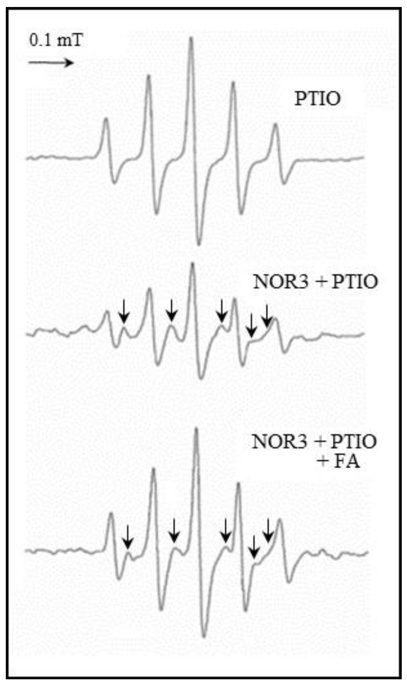 Antioxidants 09 00393 g007