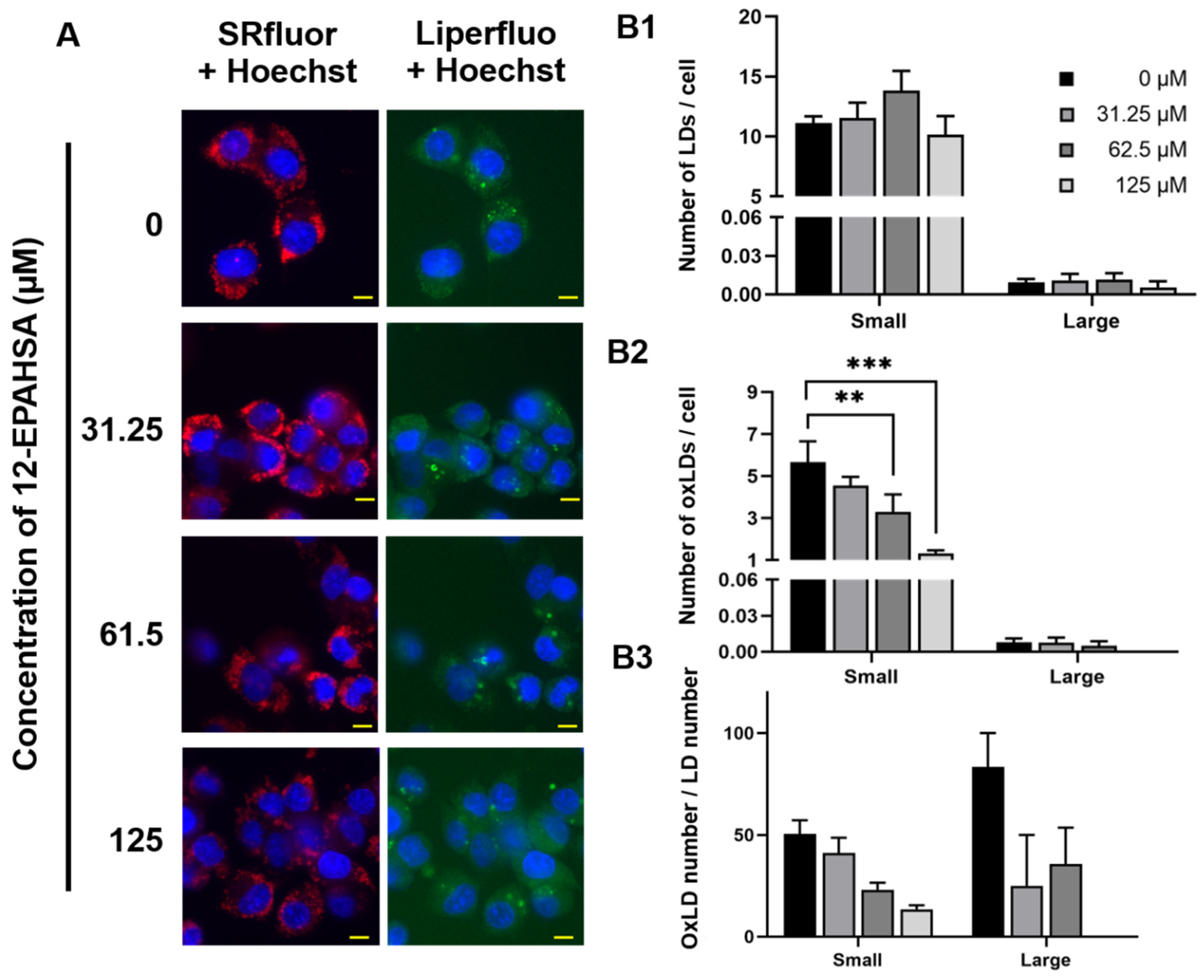 Antioxidants 09 00397 g002