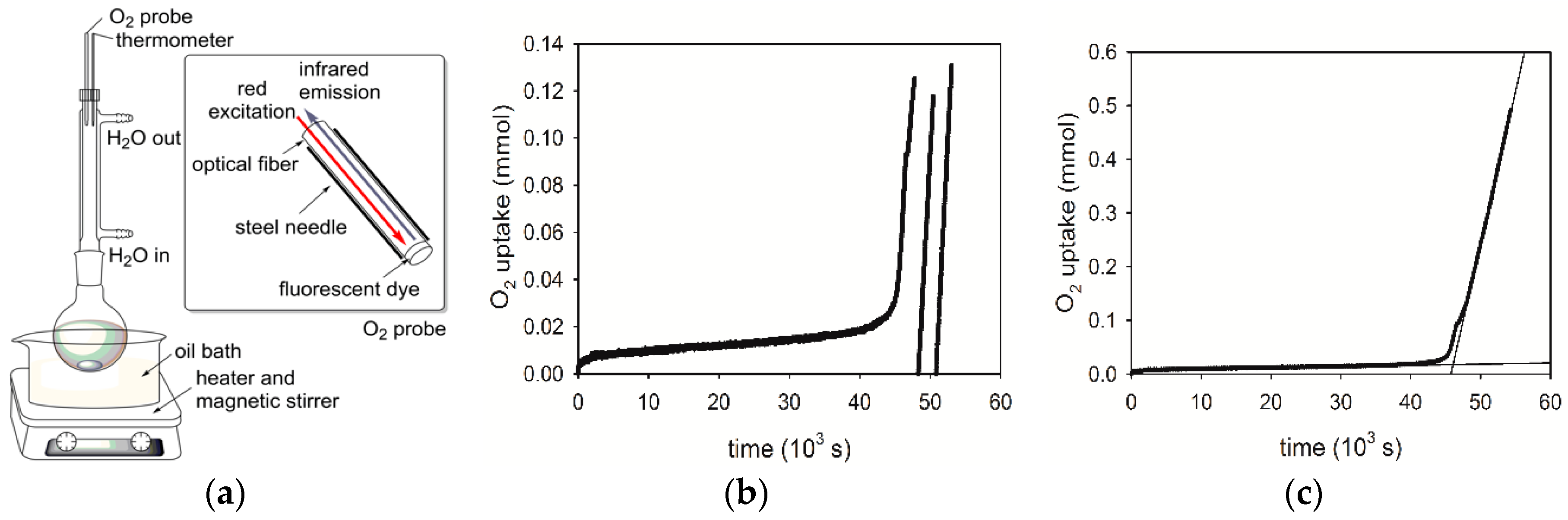 Antioxidants 09 00399 g001