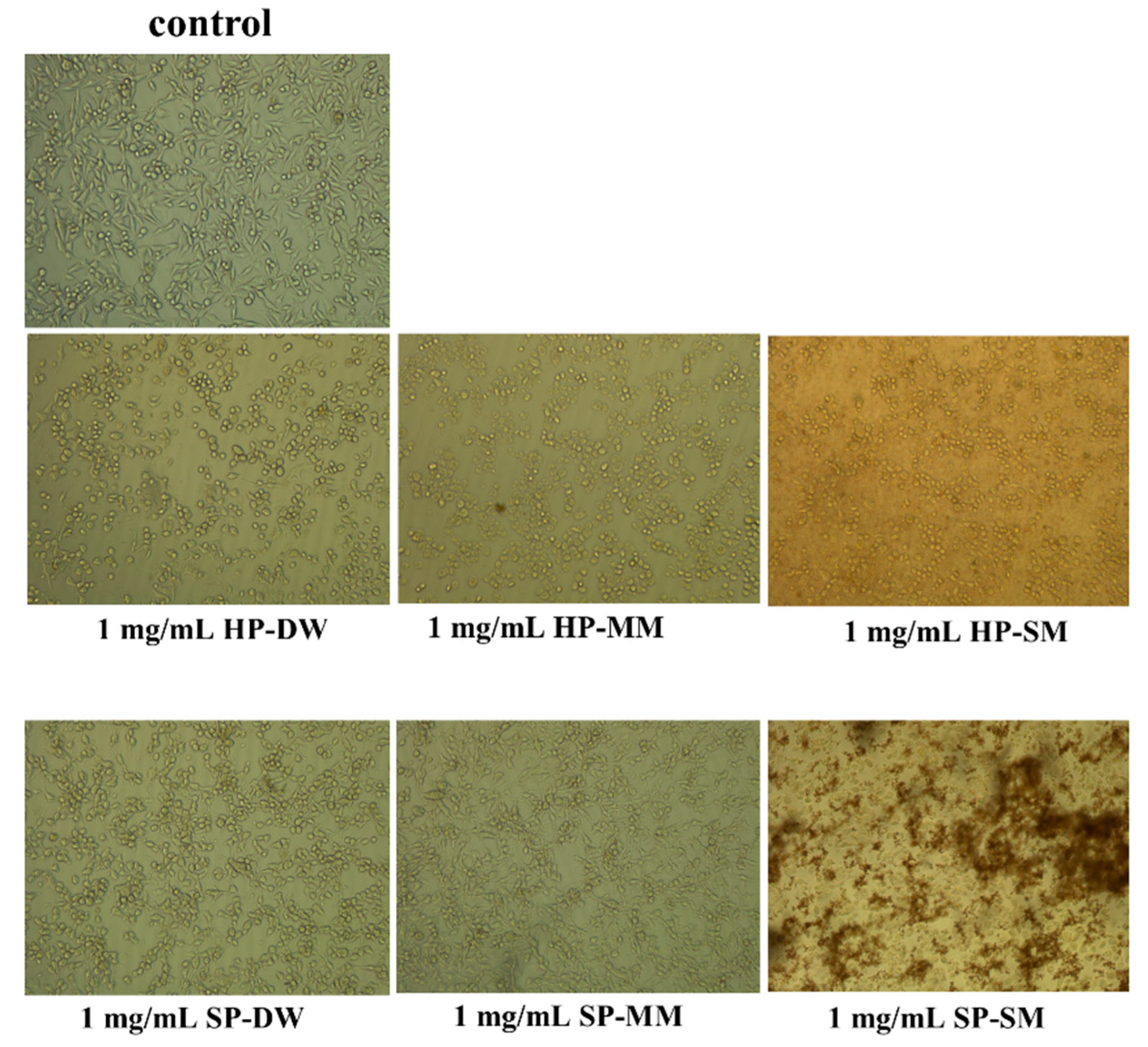 Antioxidants 09 00400 g005 Antioxidants 09 00400 g005