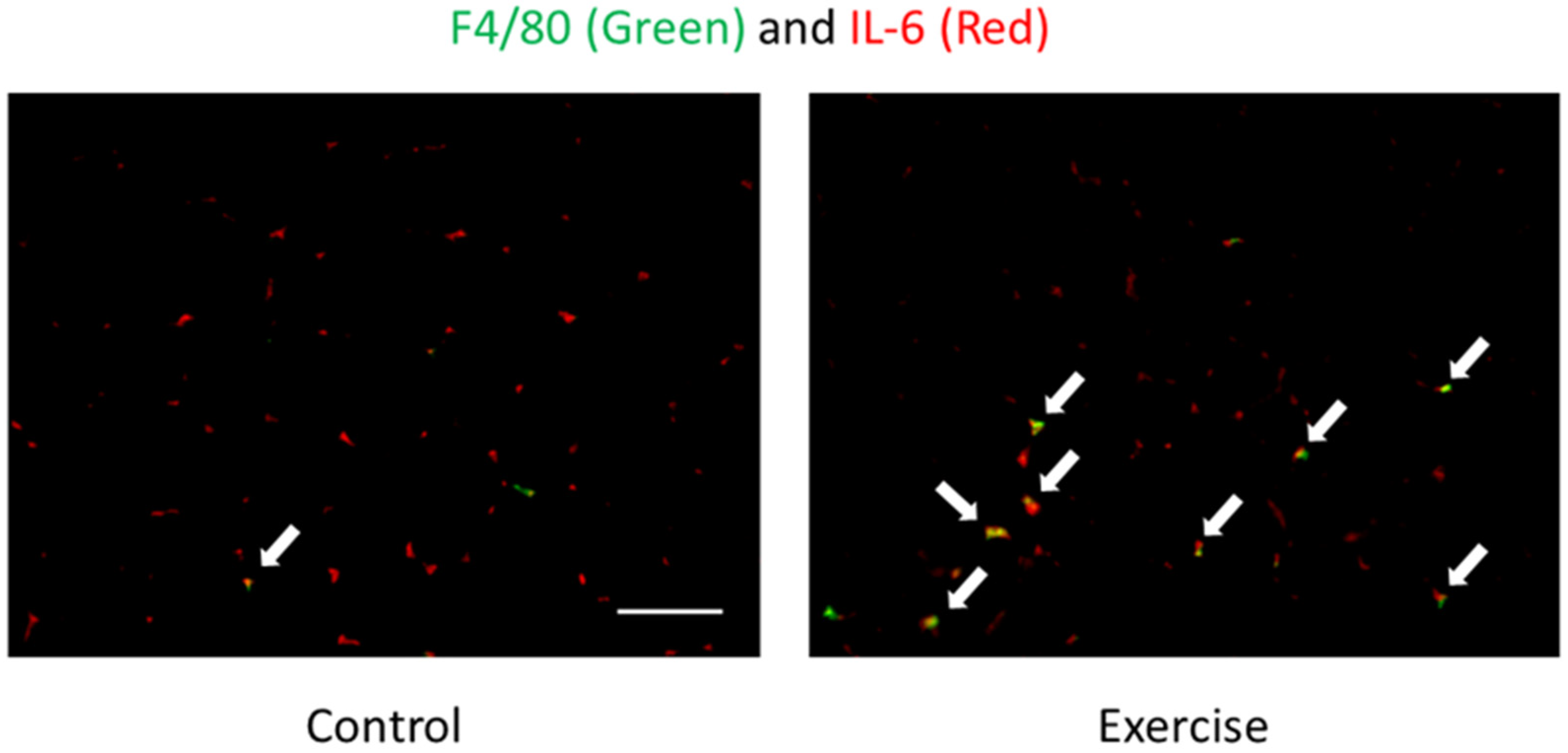 Antioxidants 09 00401 g001