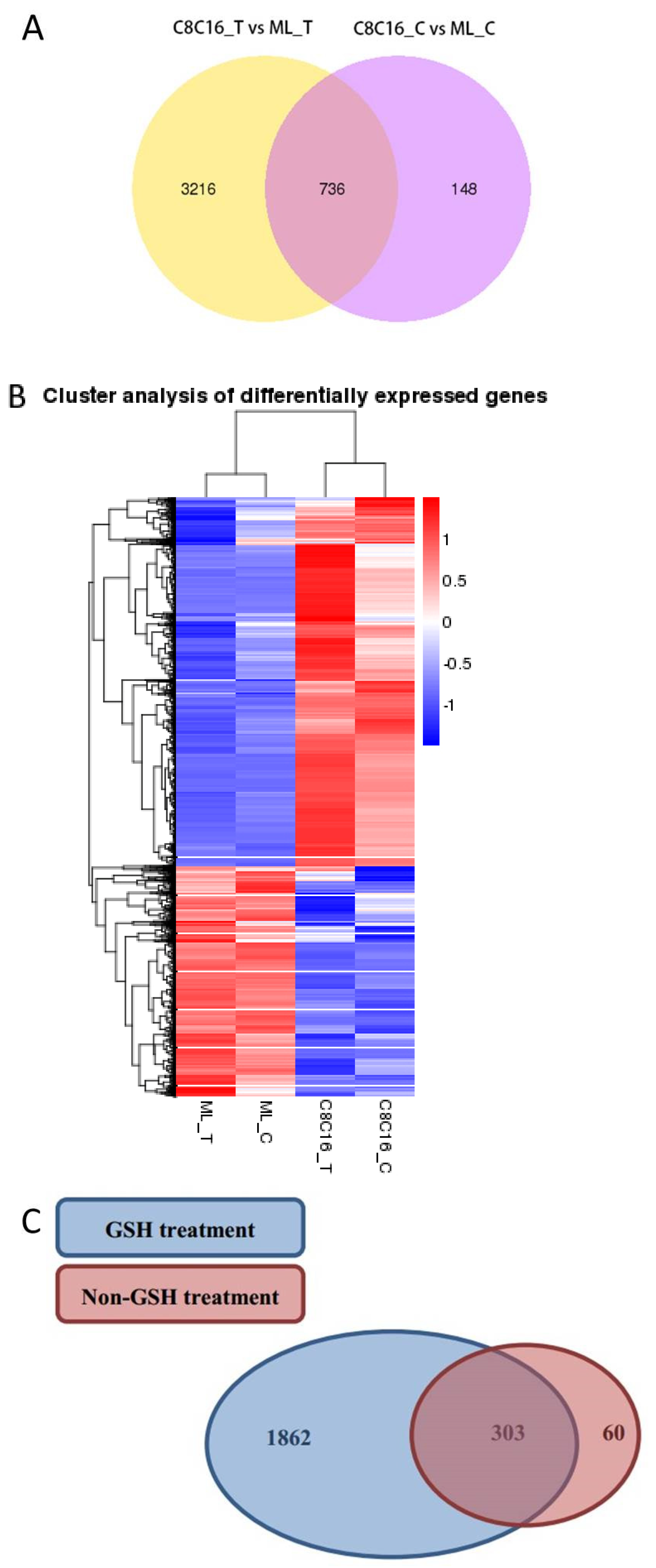Antioxidants 09 00402 g002a