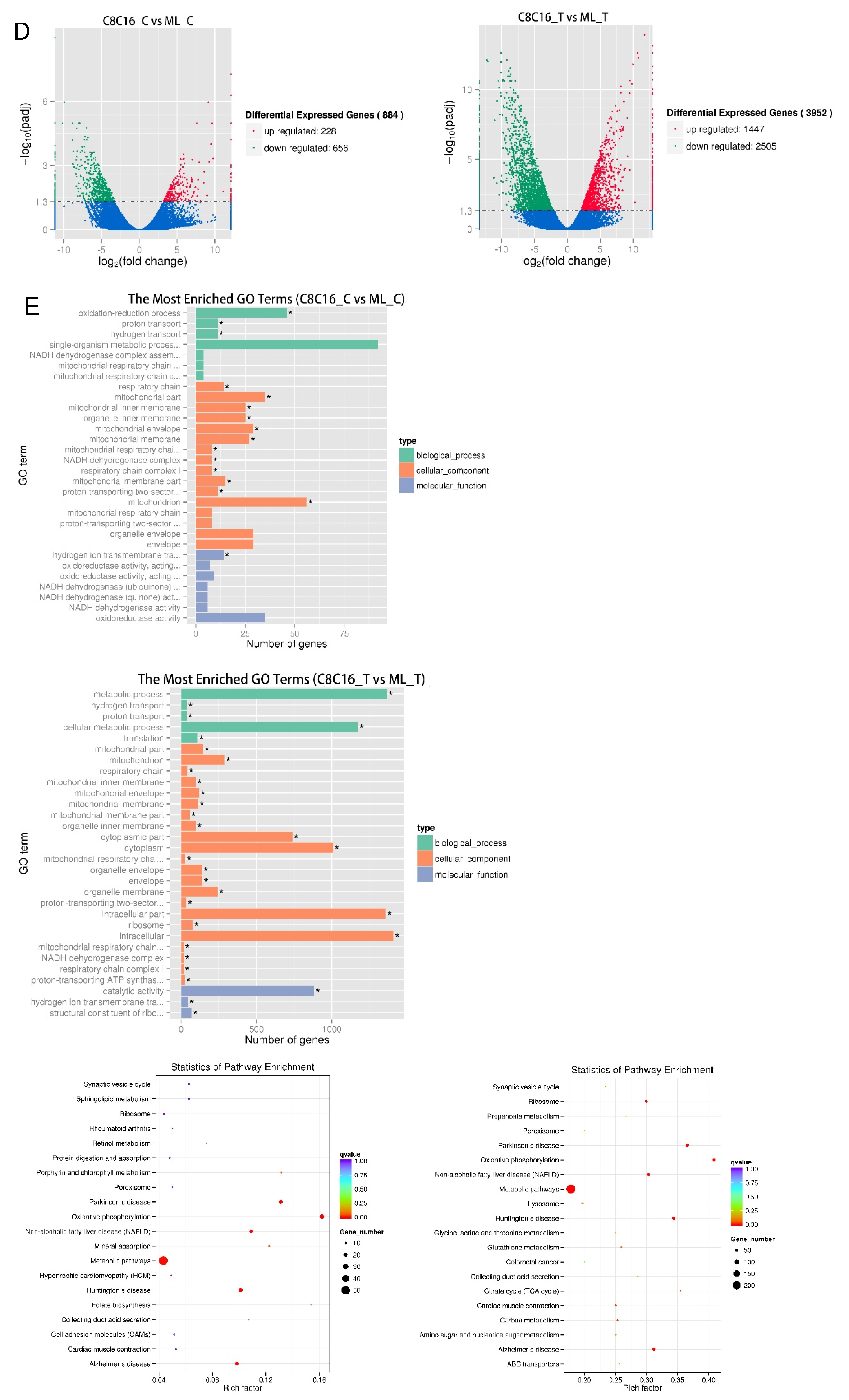 Antioxidants 09 00402 g002b