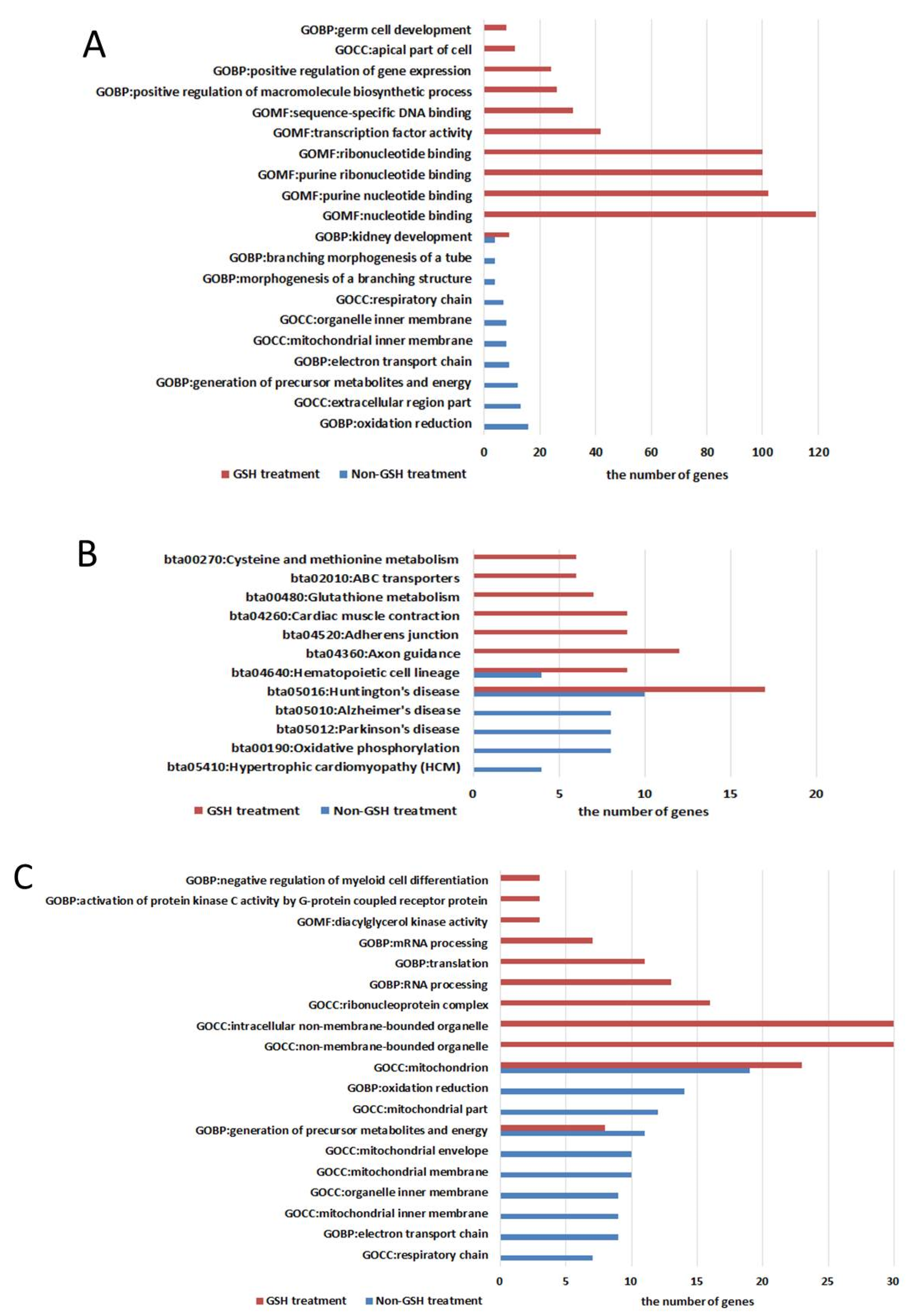 Antioxidants 09 00402 g005a