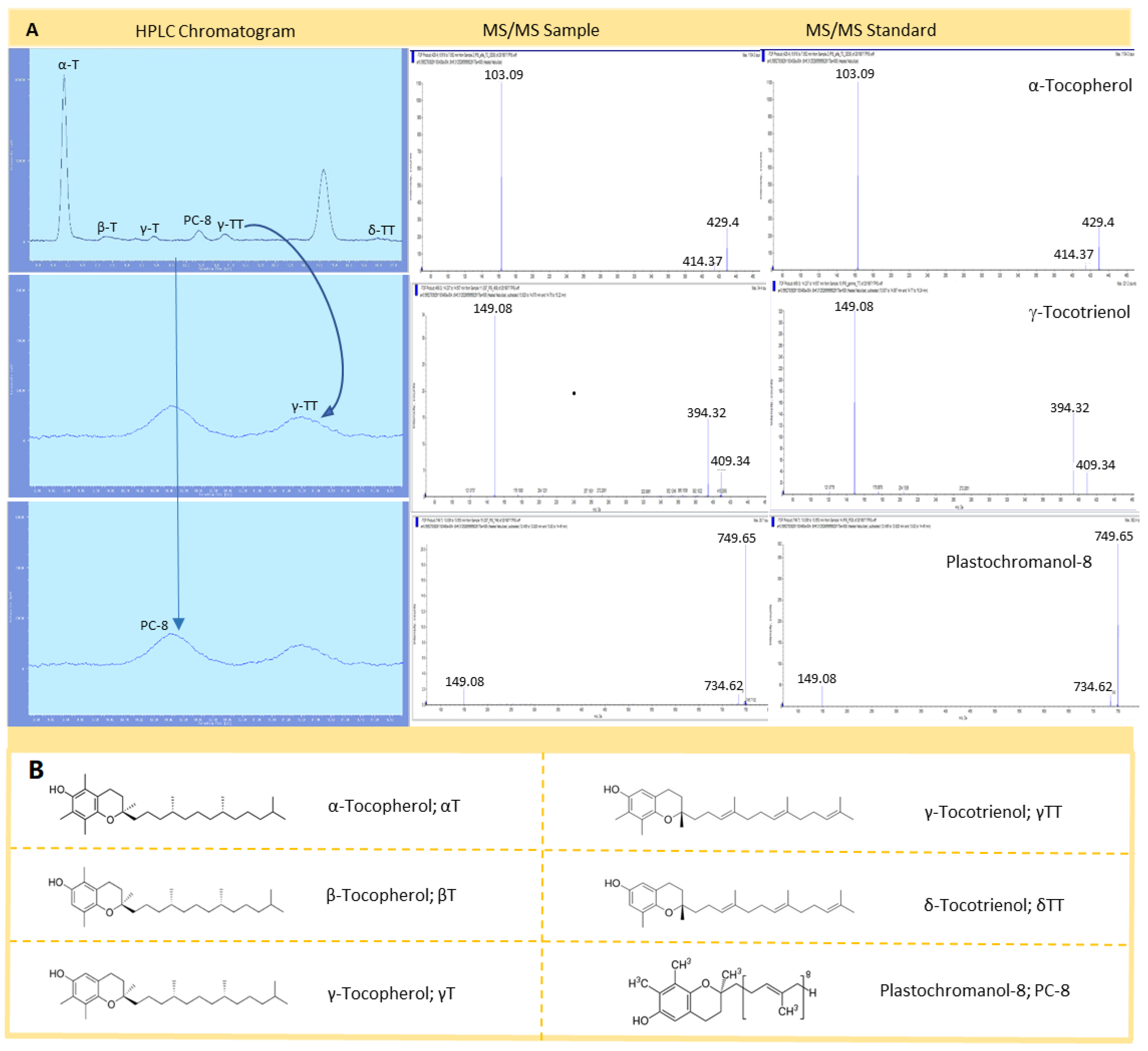 Antioxidants 09 00403 g001