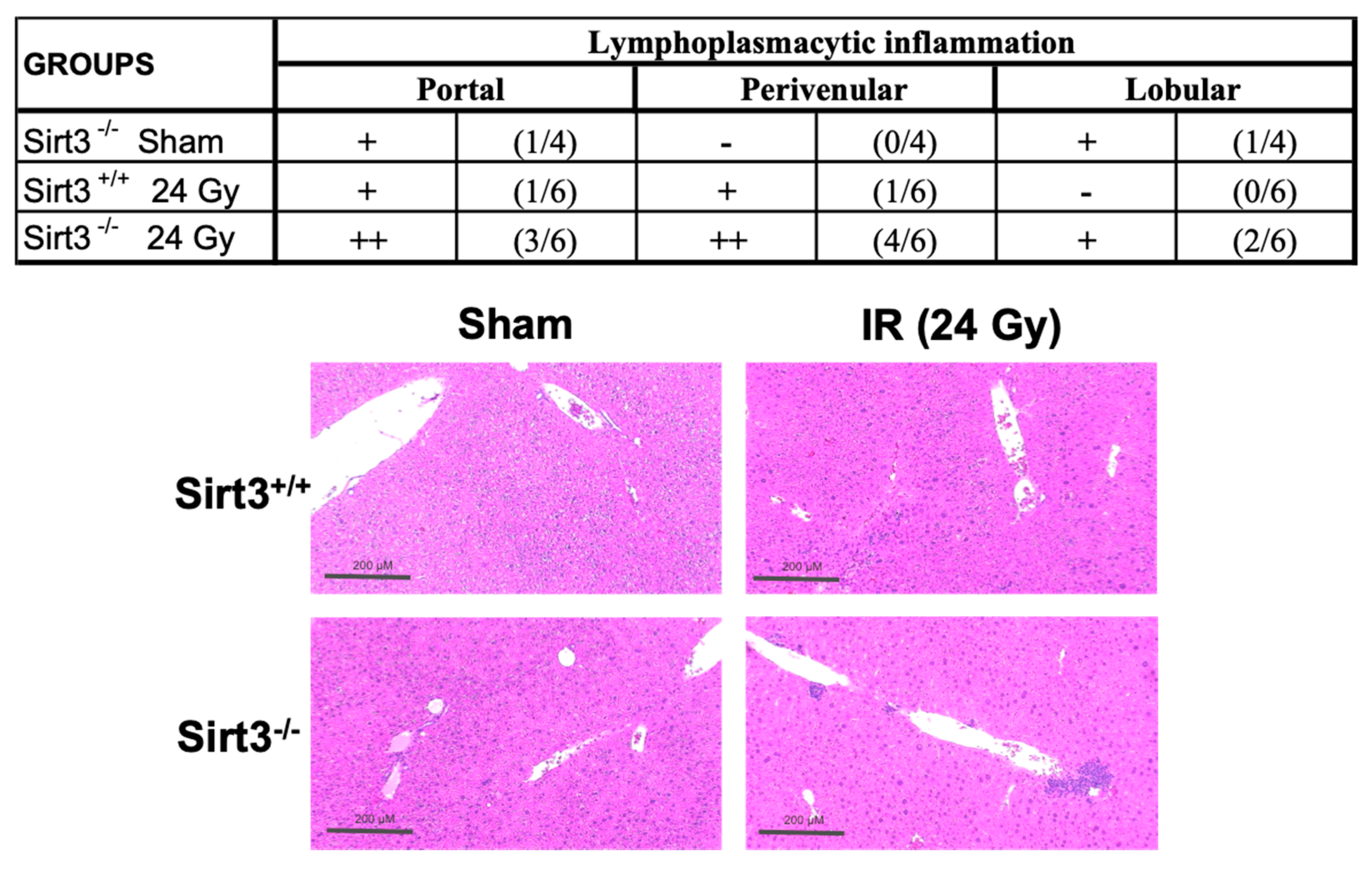 Antioxidants 09 00409 g002