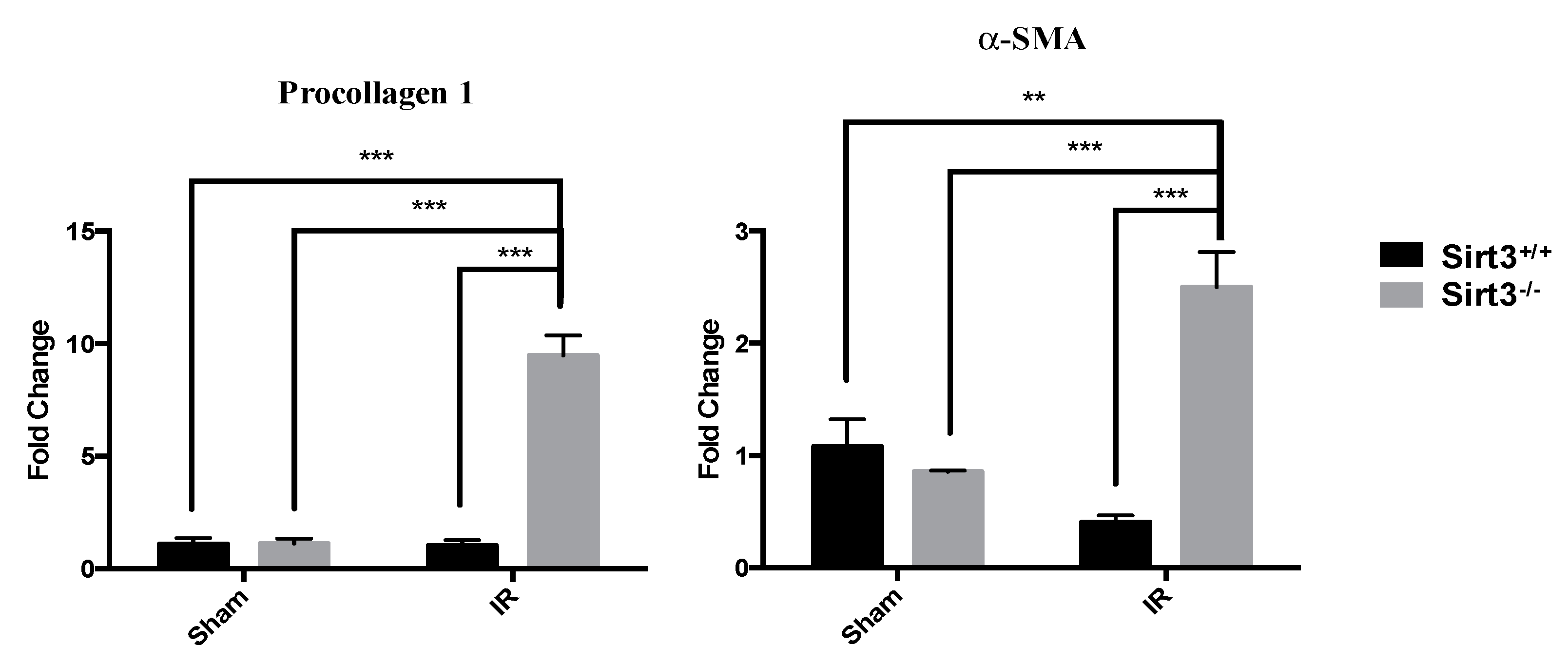 Antioxidants 09 00409 g005