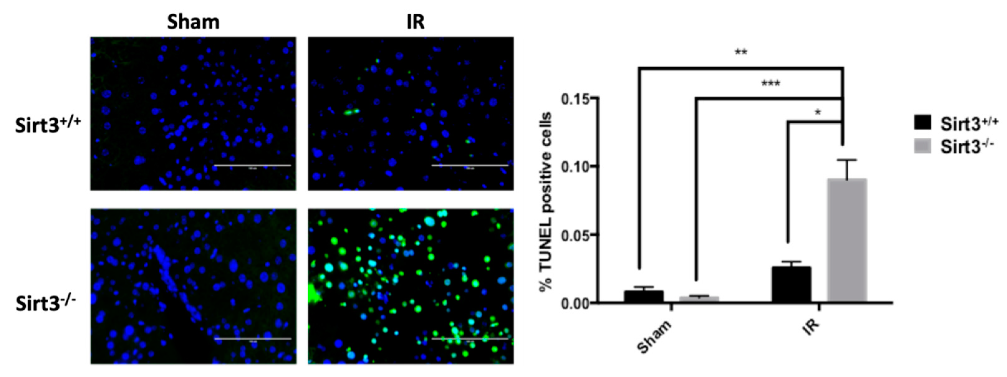 Antioxidants 09 00409 g007