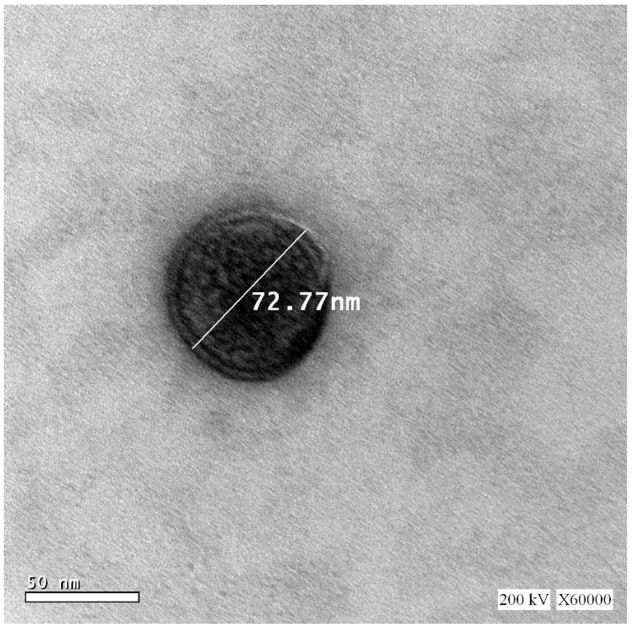 Antioxidants 09 00419 g004