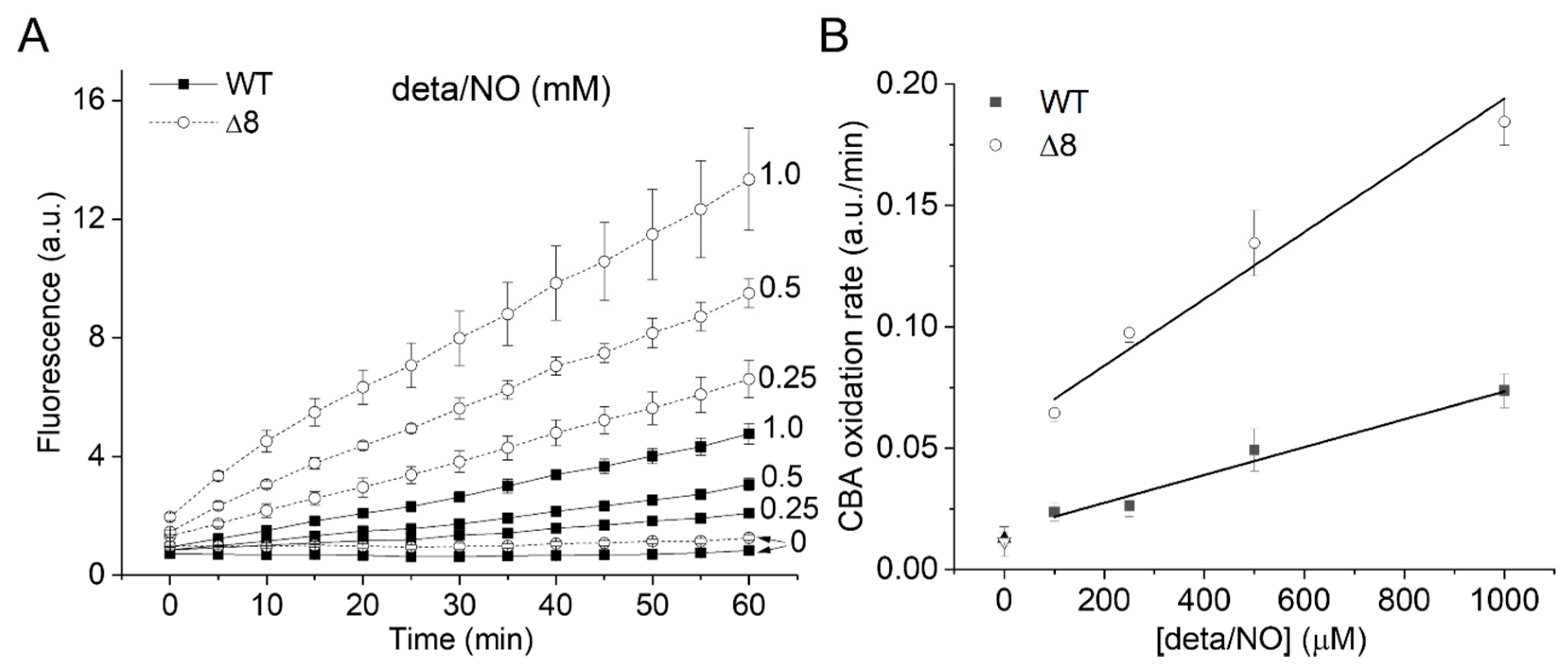 Antioxidants 09 00434 g003