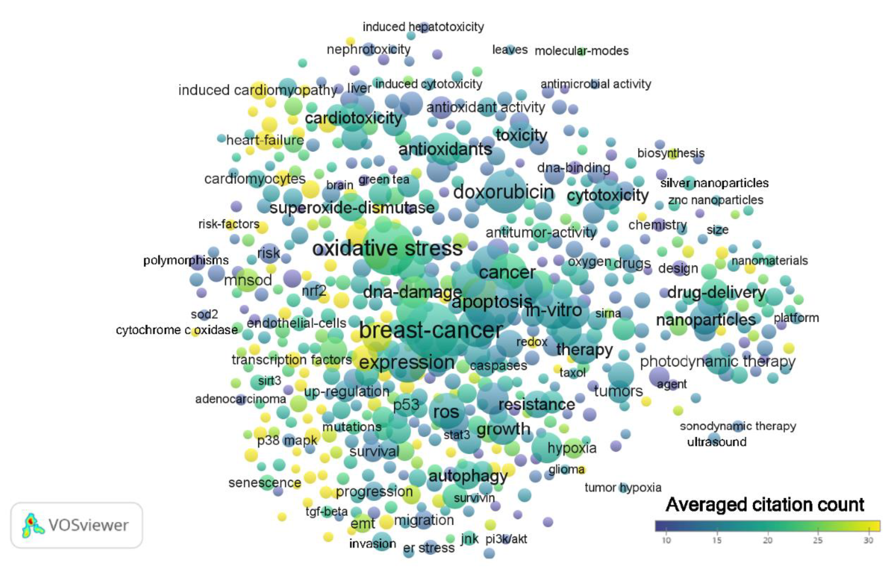 Antioxidants 09 00439 g004