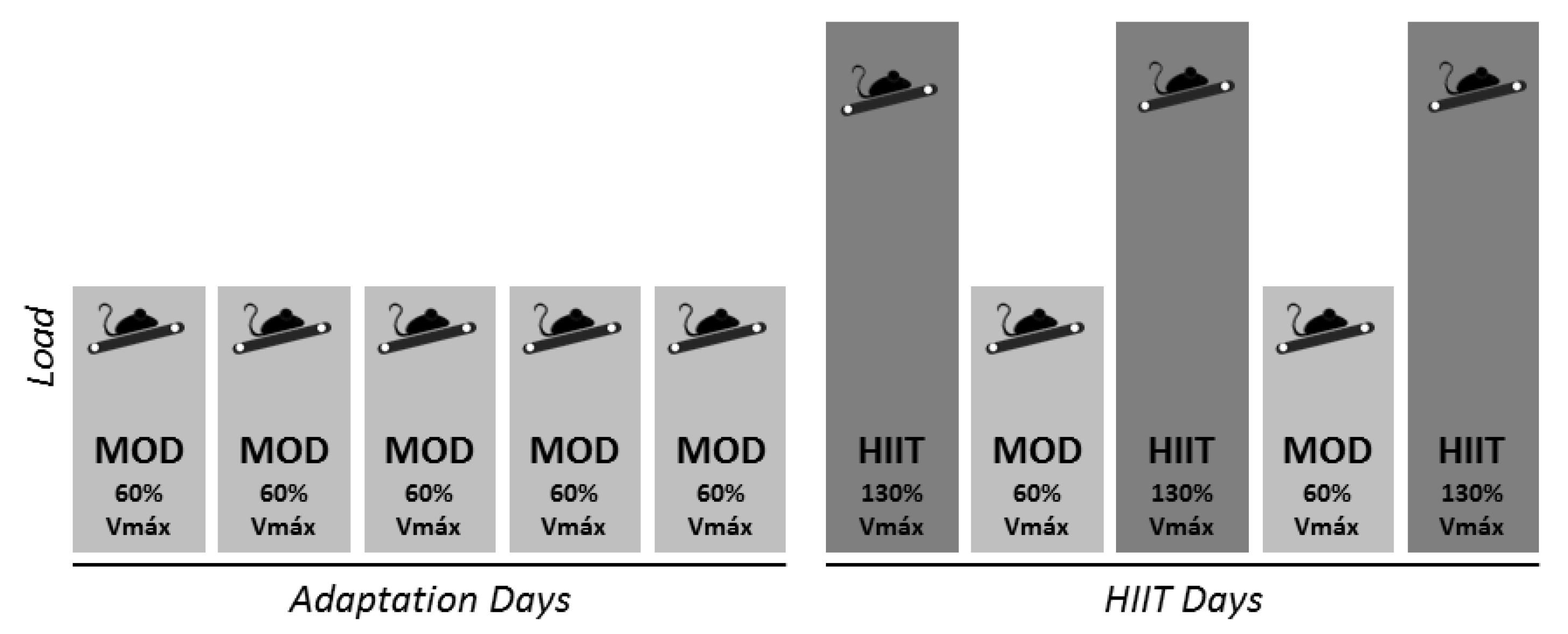 Antioxidants 09 00445 g001