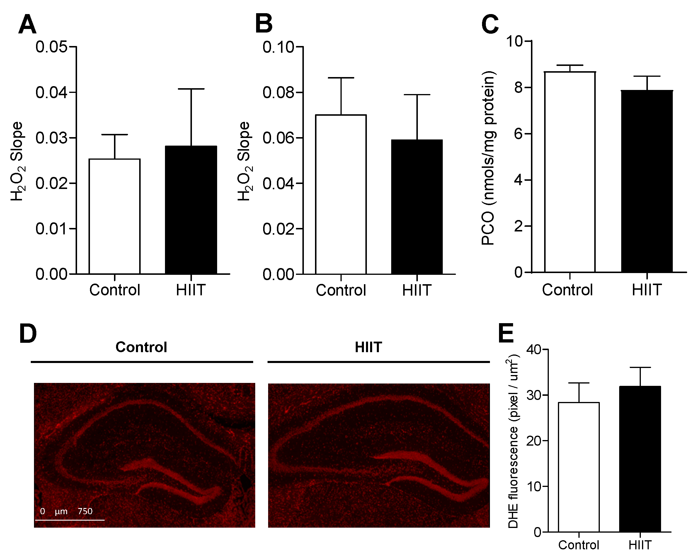 Antioxidants 09 00445 g004