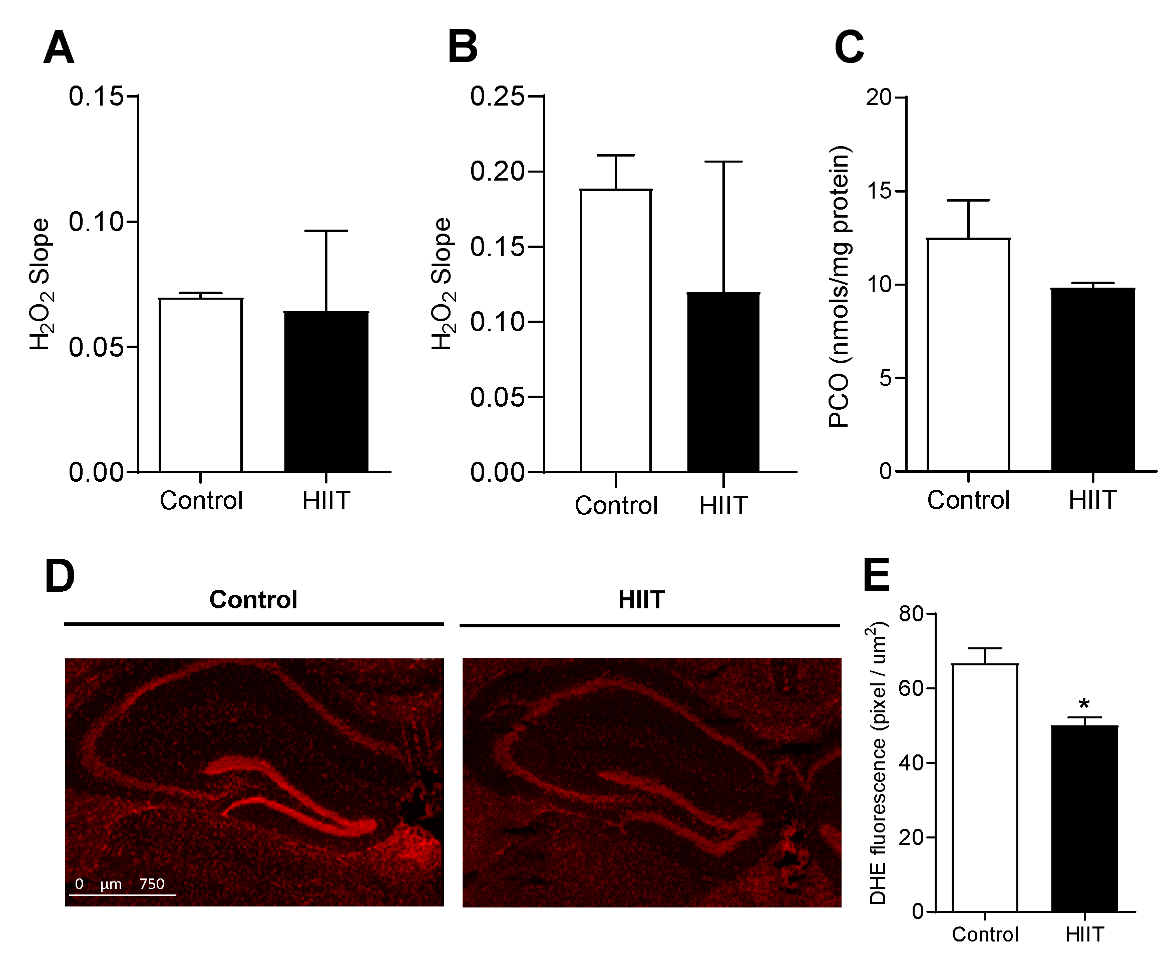 Antioxidants 09 00445 g005
