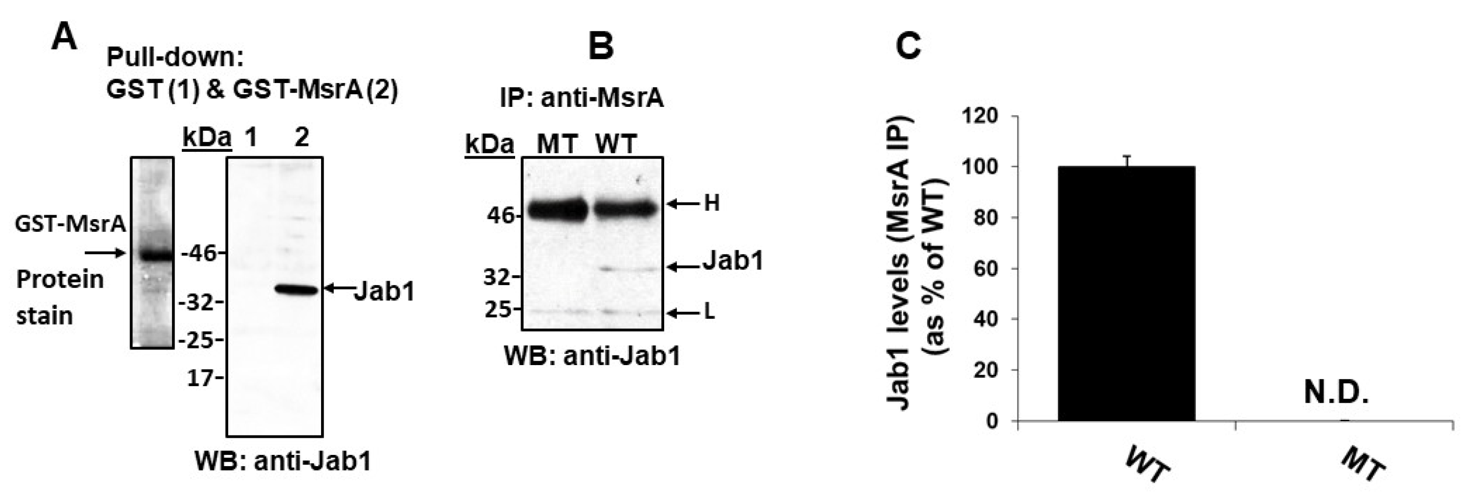 Antioxidants 09 00452 g002