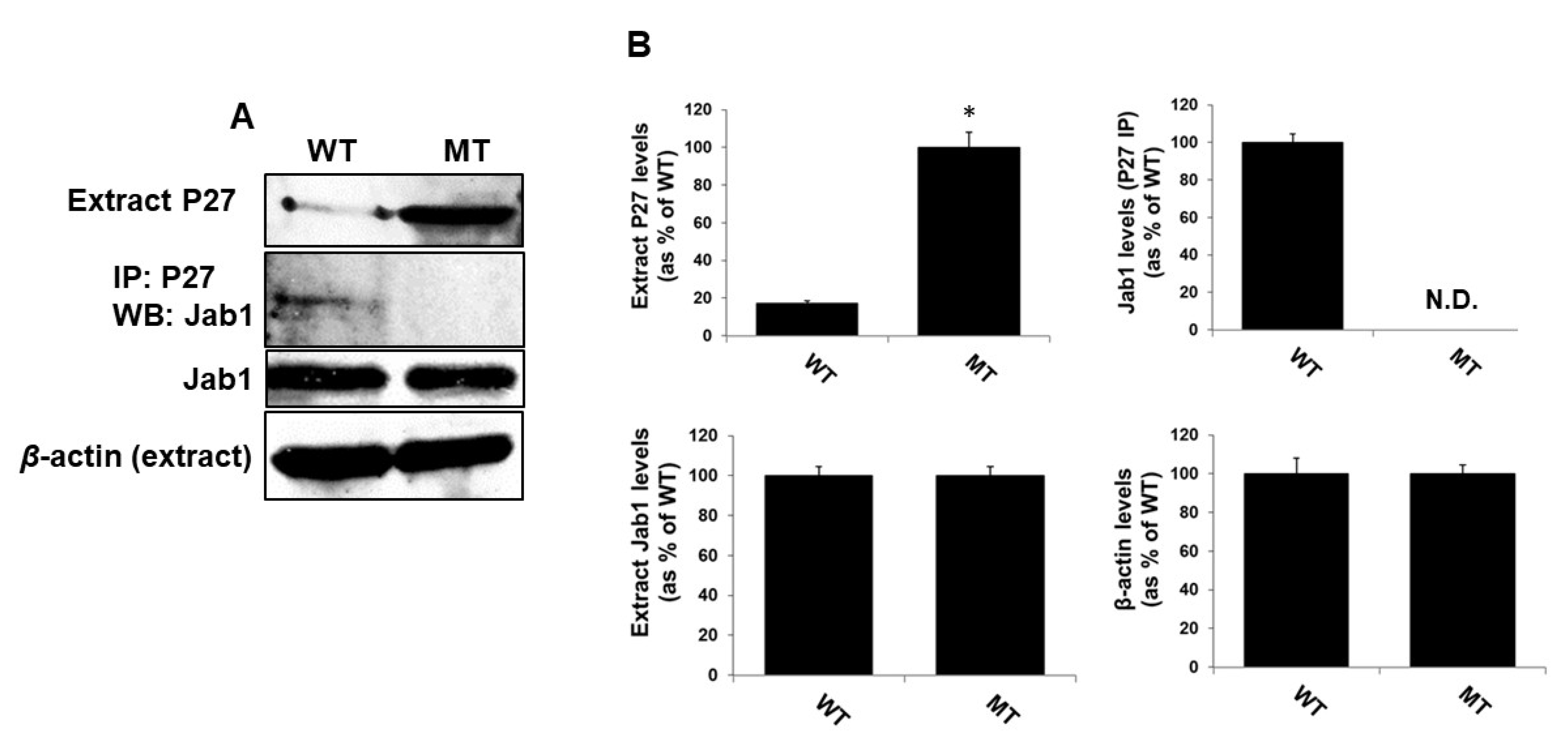 Antioxidants 09 00452 g006