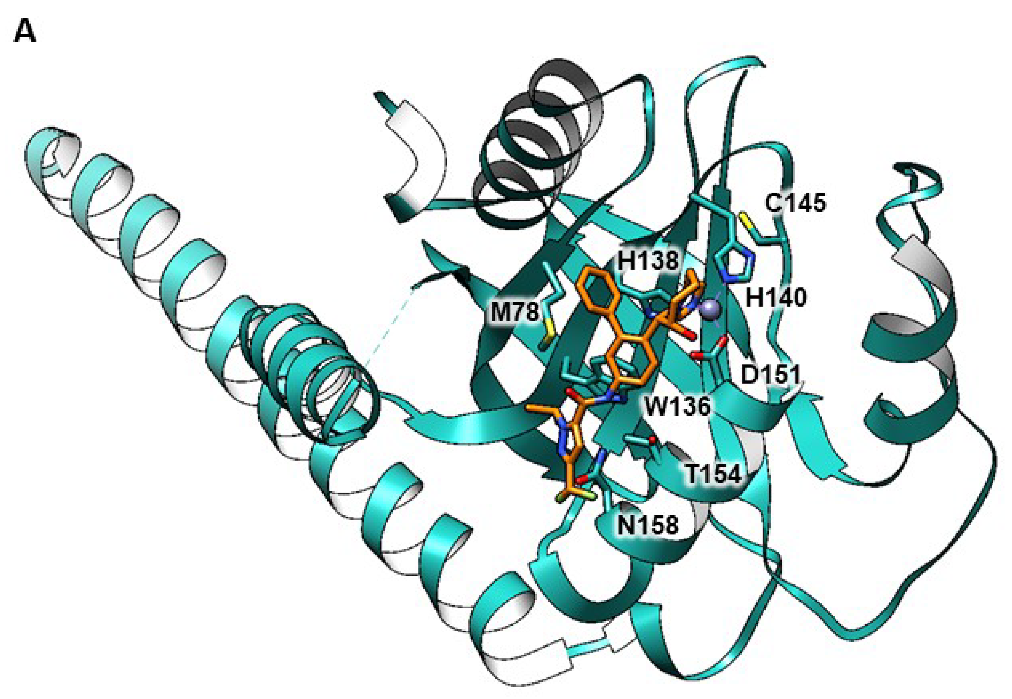 Antioxidants 09 00452 g008a