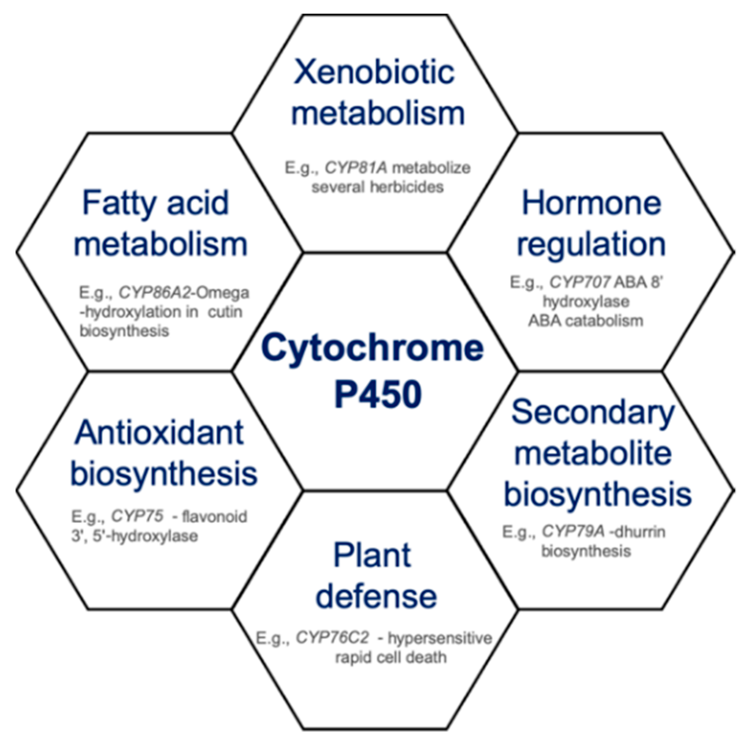 Antioxidants 09 00454 g001 Antioxidants 09 00454 g001
