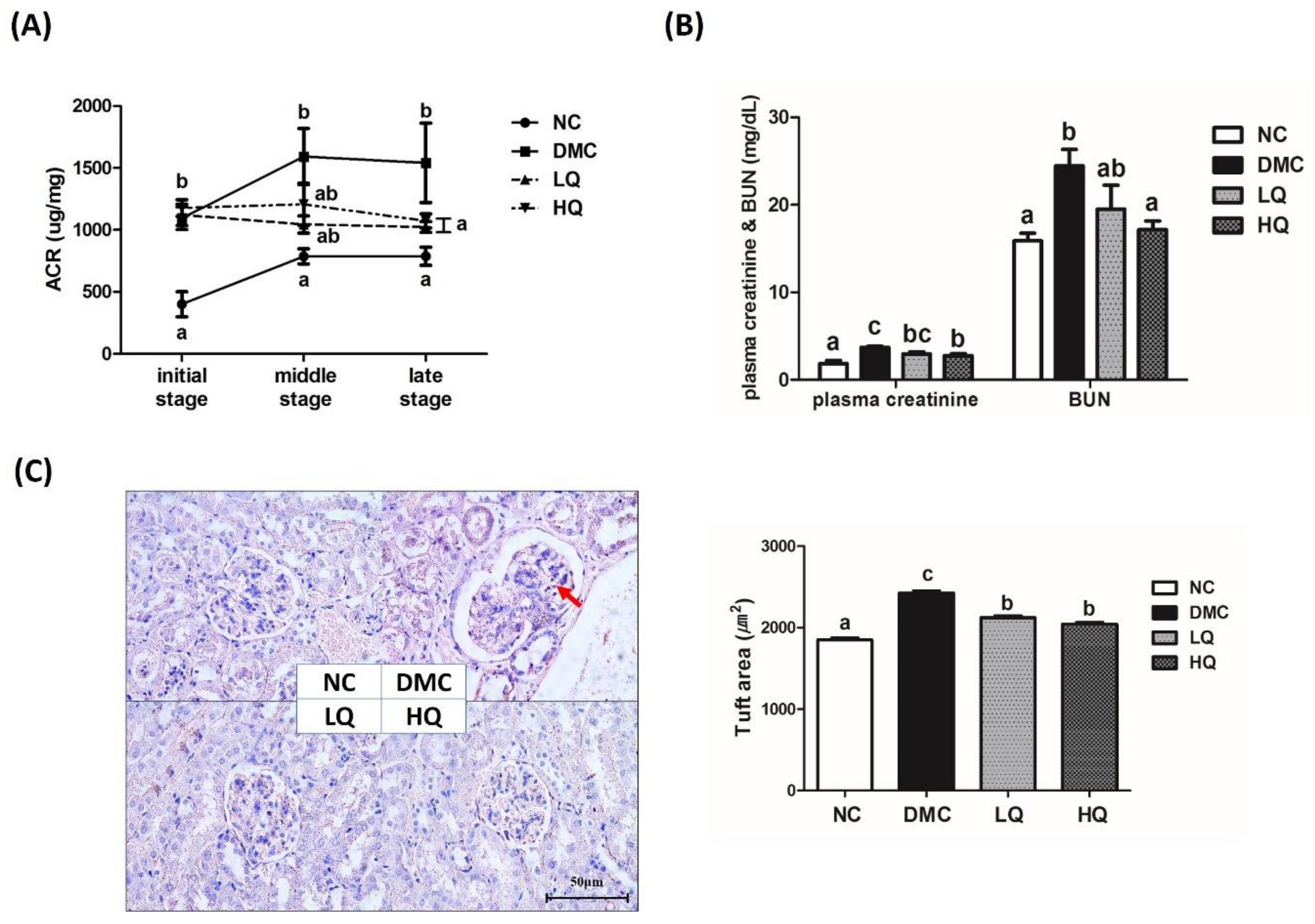 Antioxidants 09 00459 g002