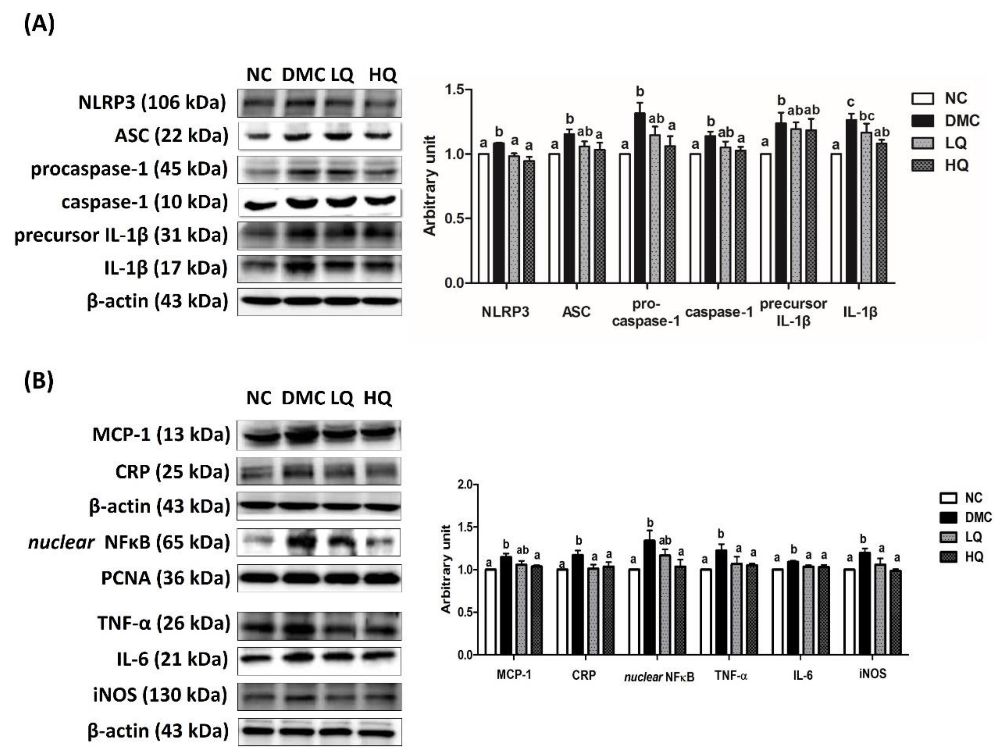 Antioxidants 09 00459 g004