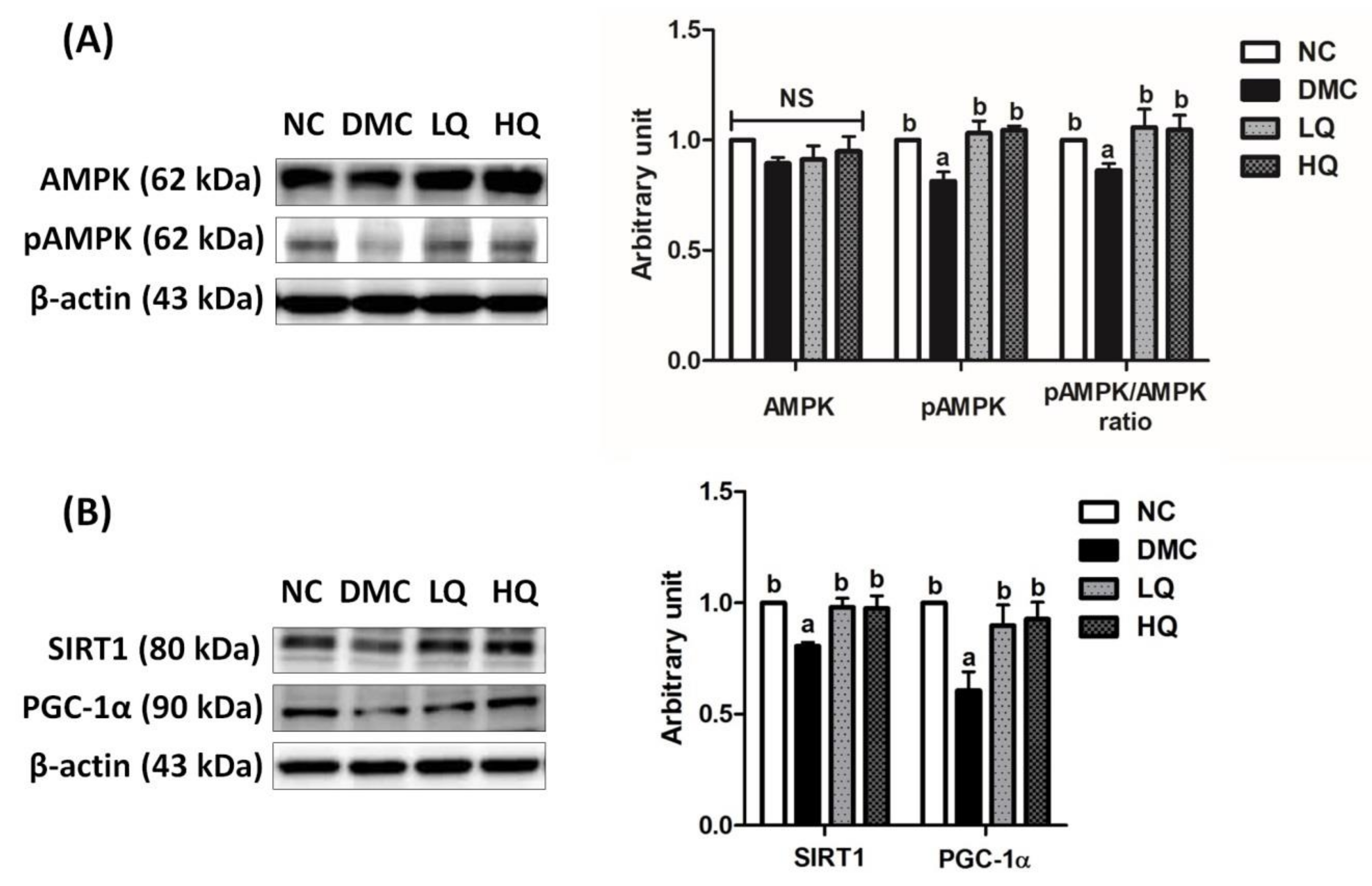 Antioxidants 09 00459 g005