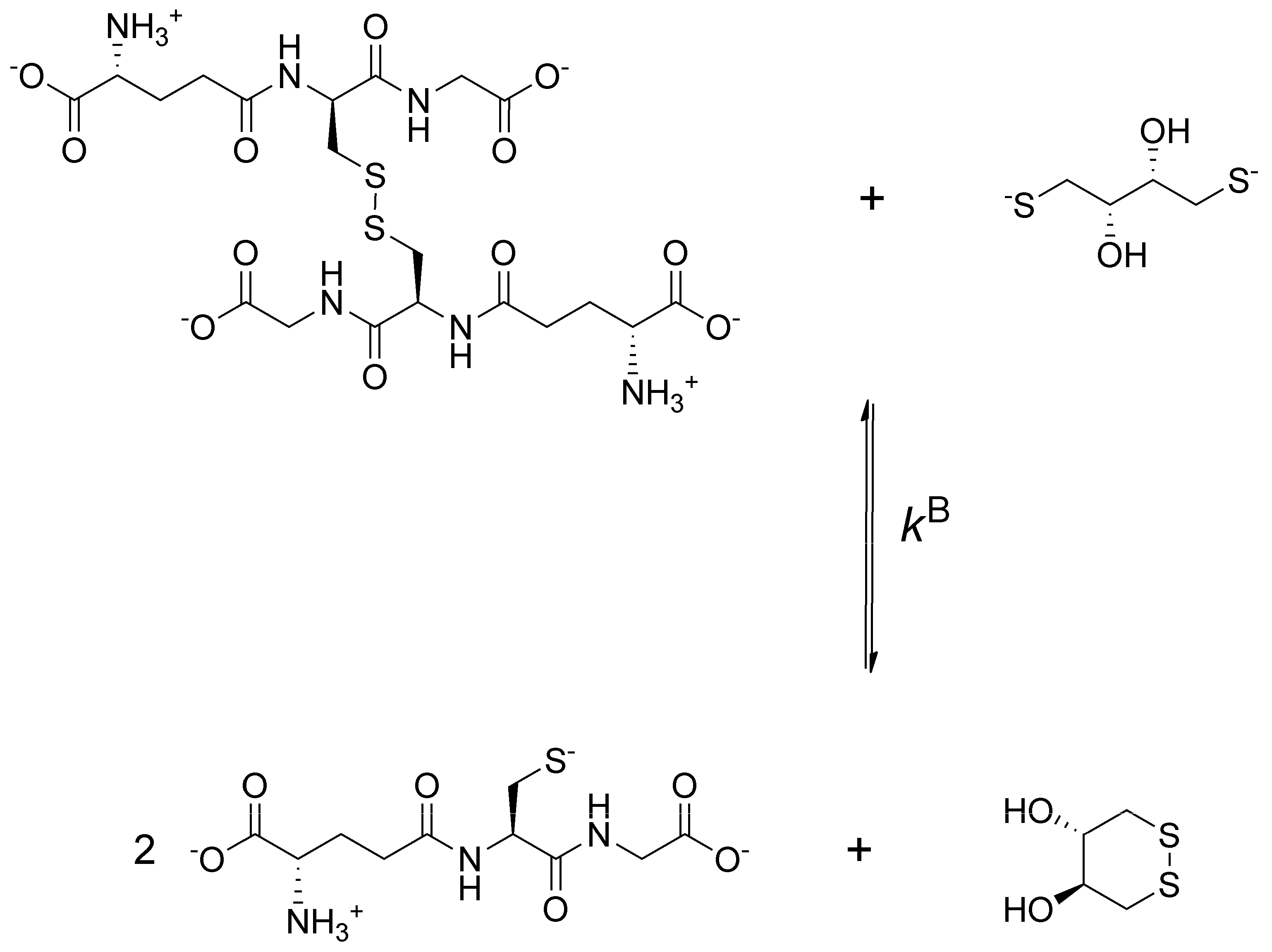 Antioxidants 09 00465 g002