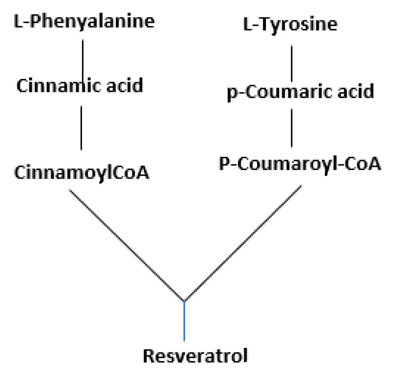Antioxidants 09 00466 g002