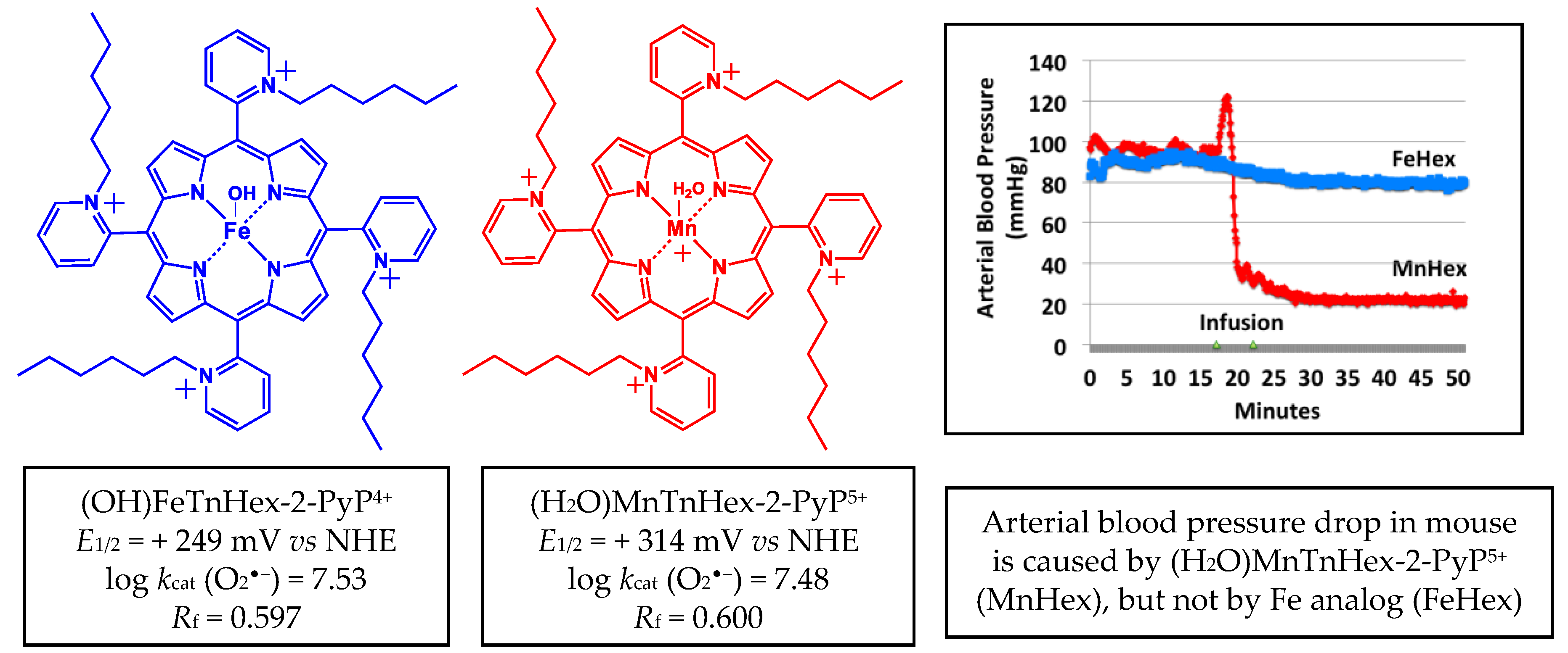 Antioxidants 09 00467 g002