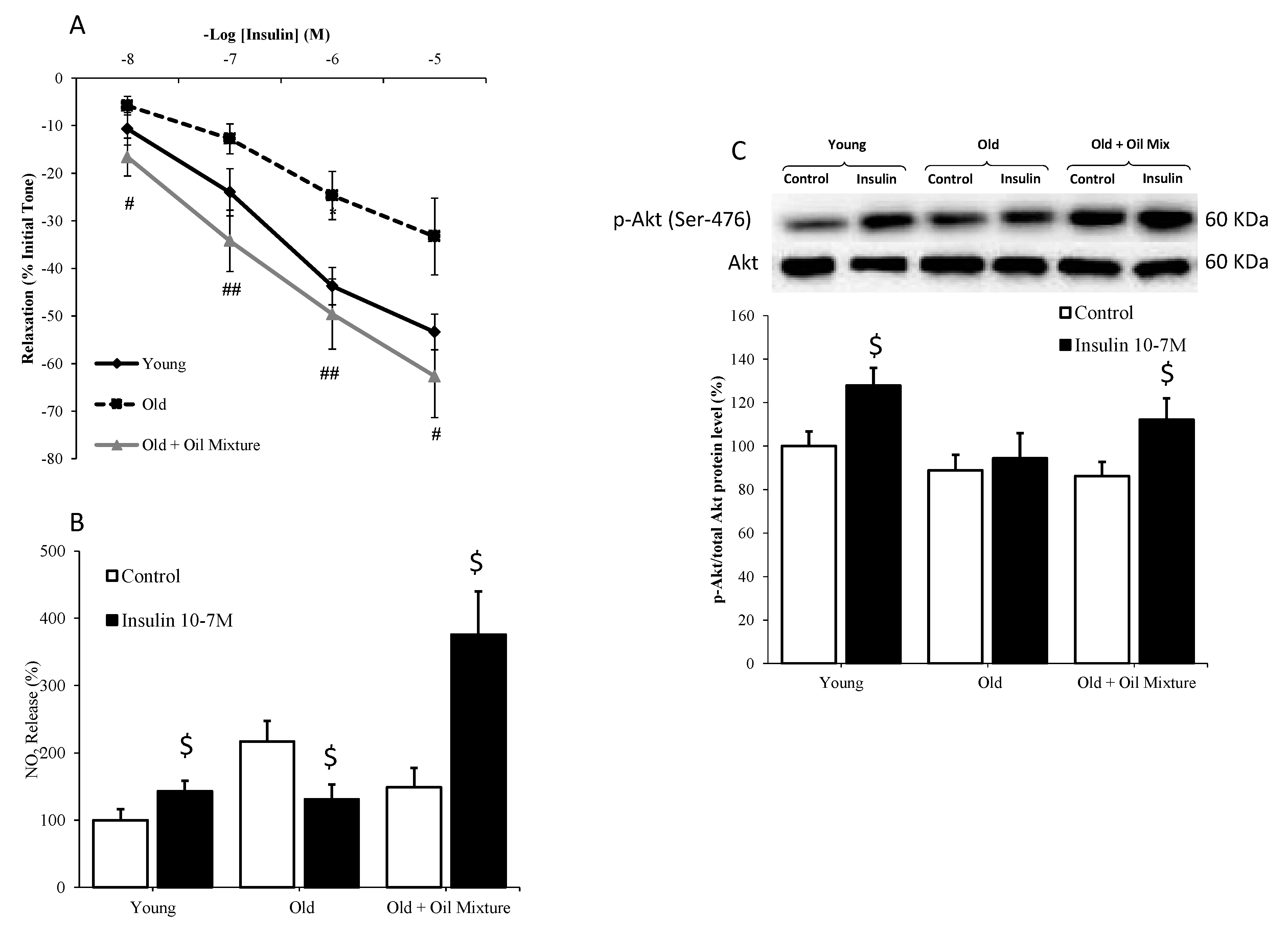 Antioxidants 09 00483 g006