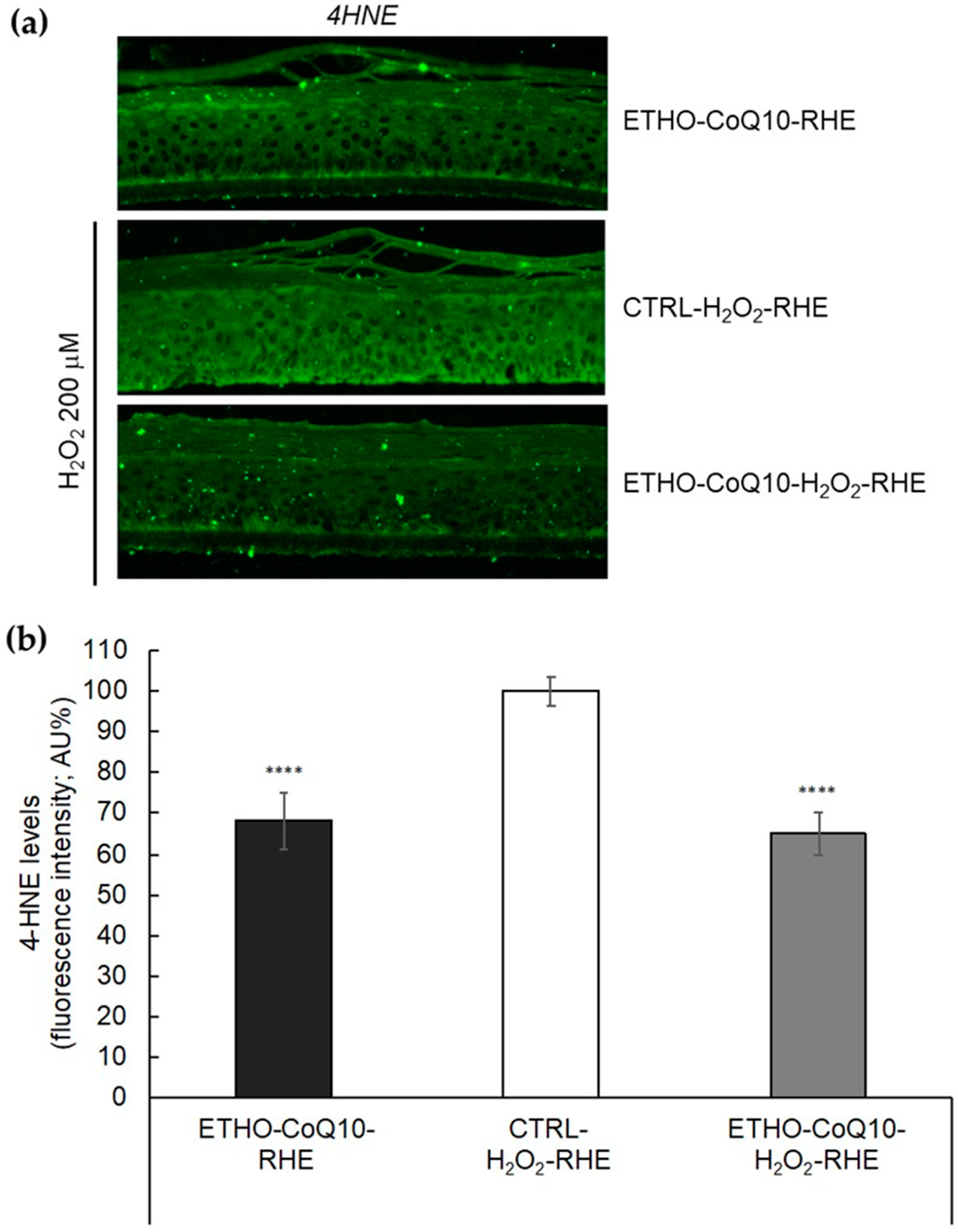 Antioxidants 09 00485 g008