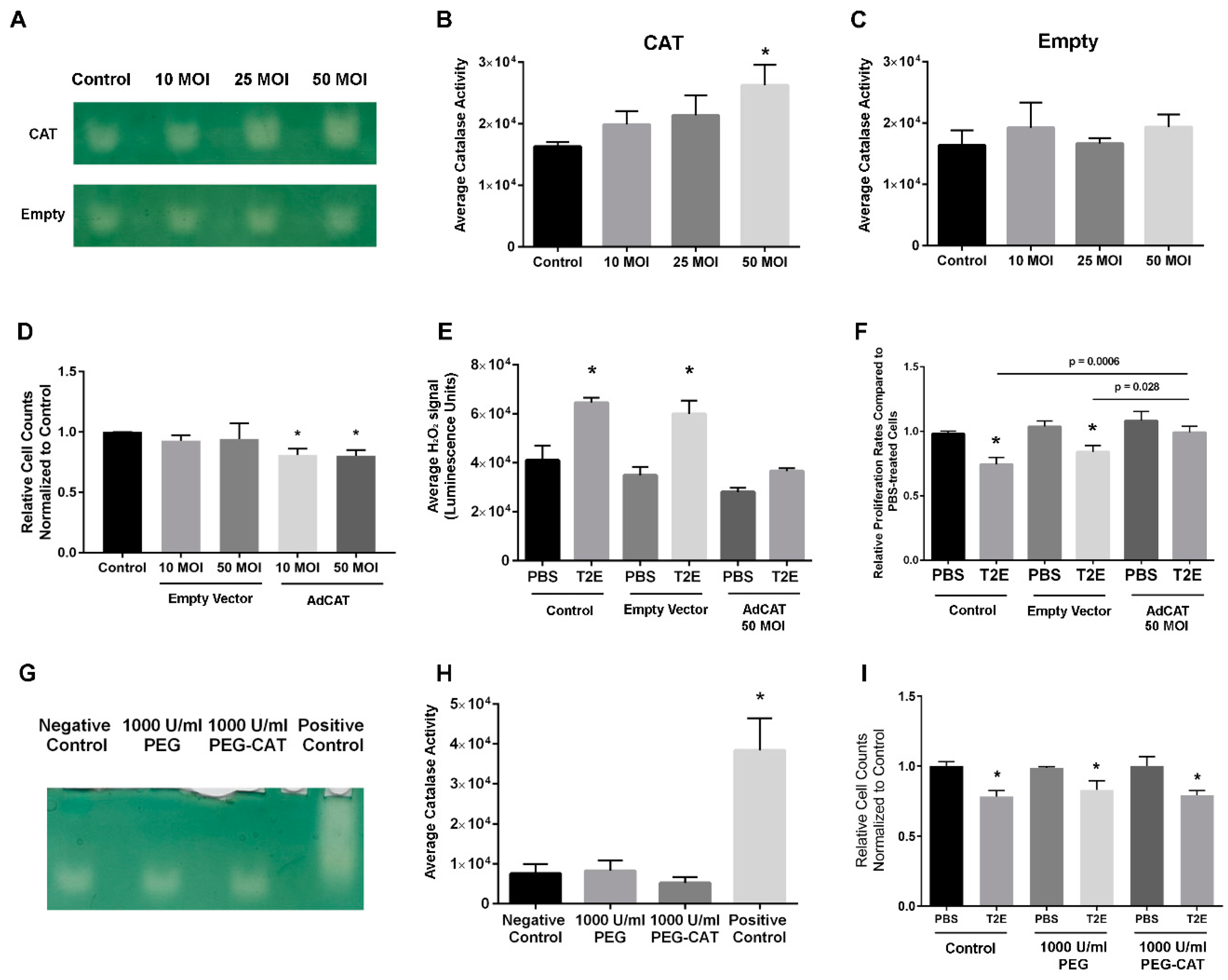 Antioxidants 09 00490 g002 Antioxidants 09 00490 g002