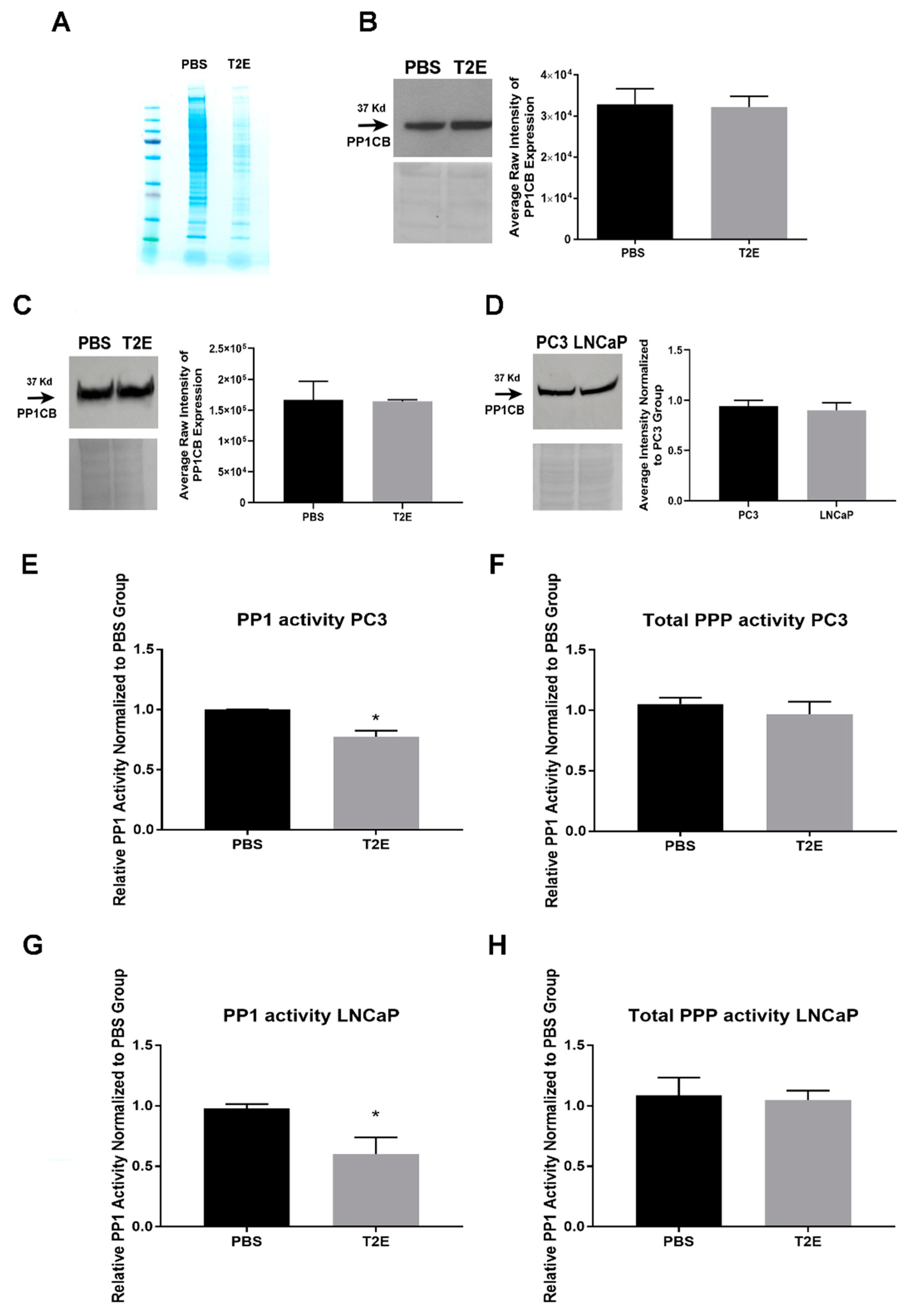 Antioxidants 09 00490 g004 Antioxidants 09 00490 g004