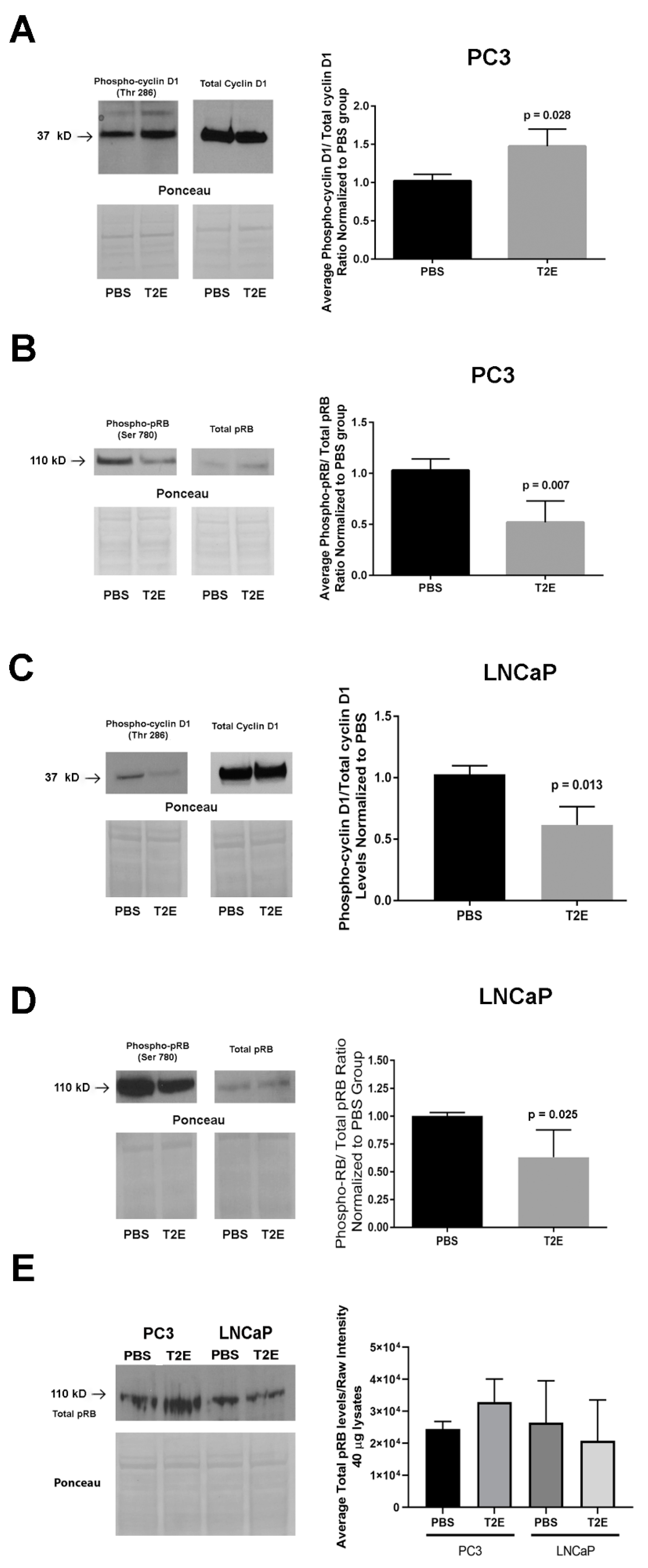 Antioxidants 09 00490 g005a Antioxidants 09 00490 g005a