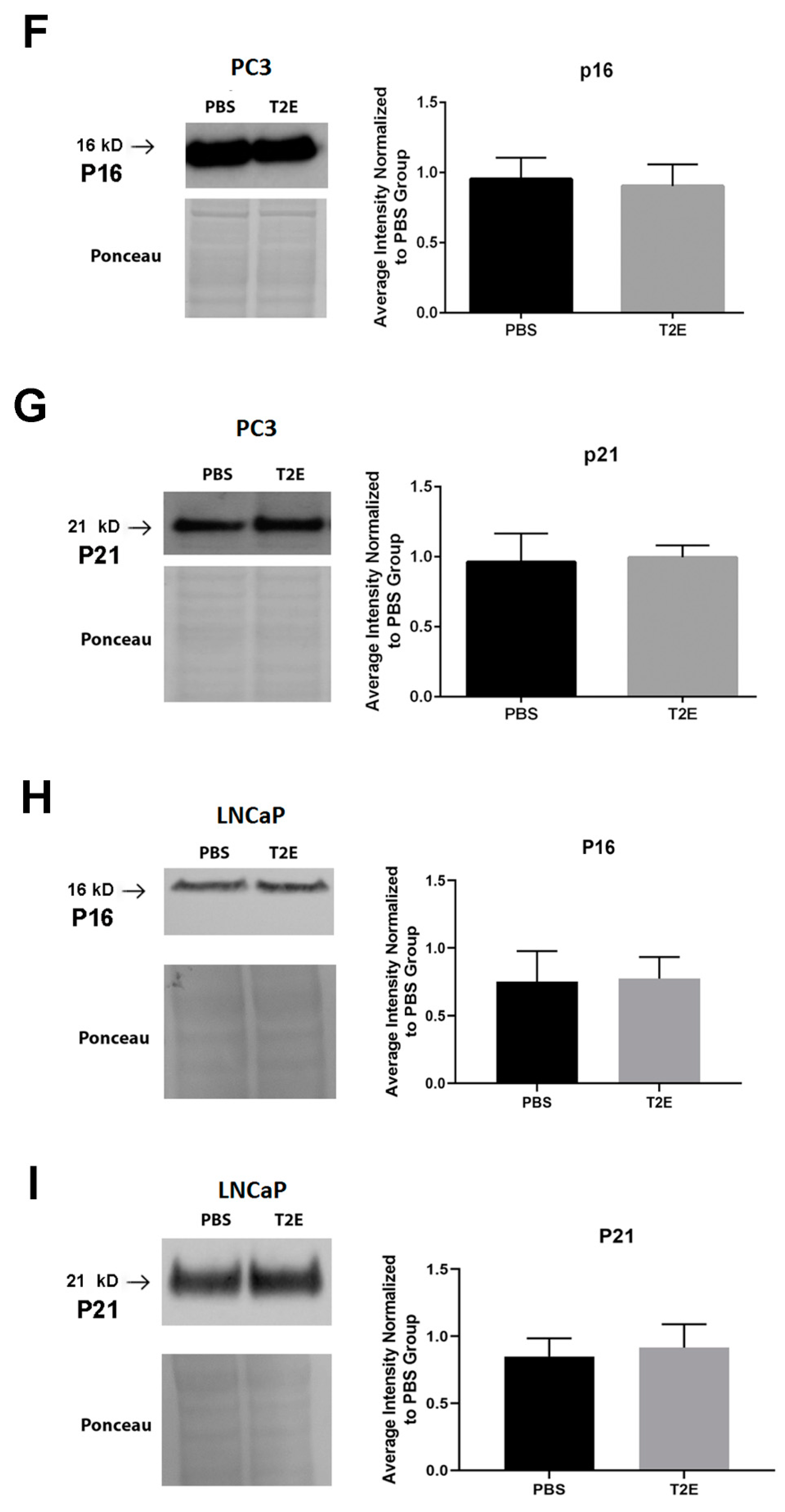 Antioxidants 09 00490 g005b Antioxidants 09 00490 g005b