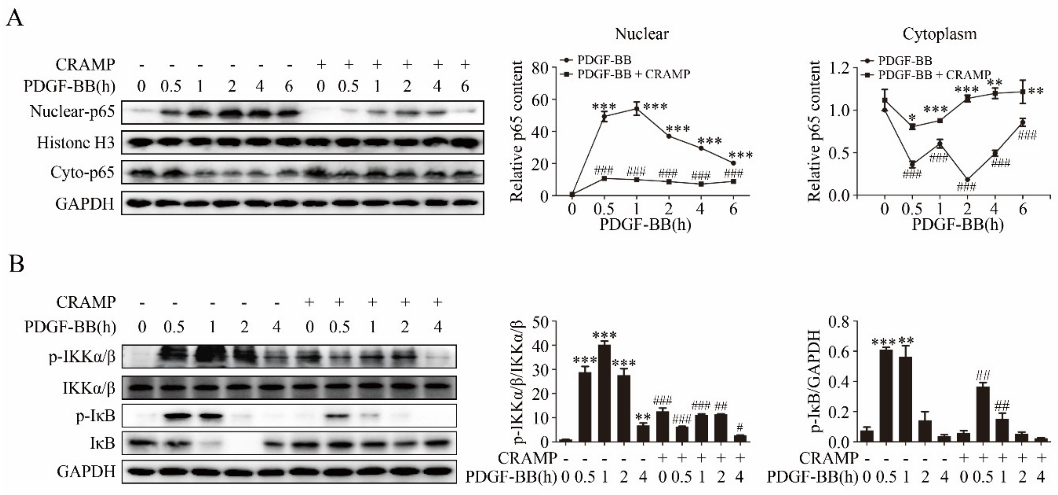 Antioxidants 09 00491 g005