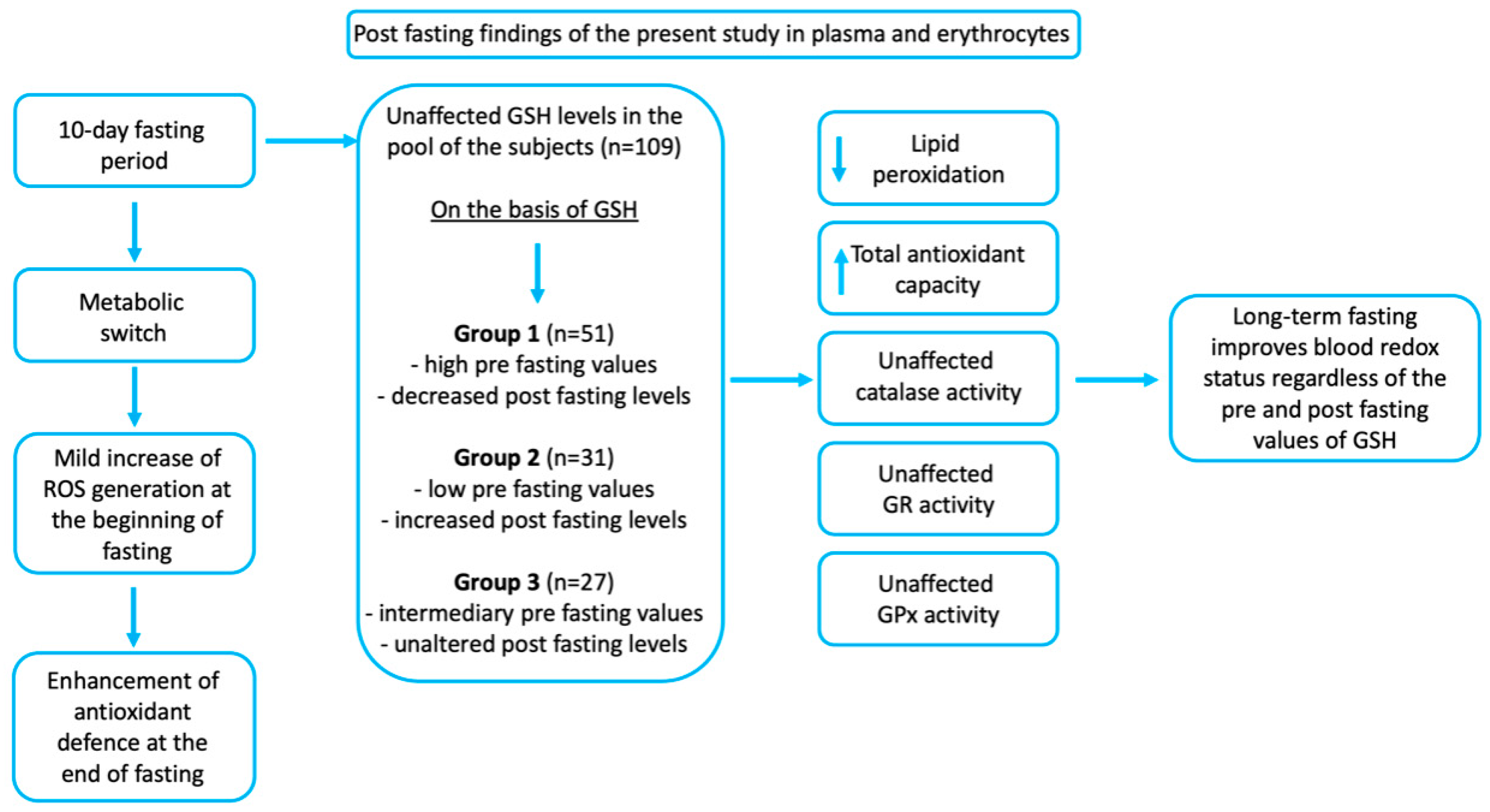 Antioxidants 09 00496 g004