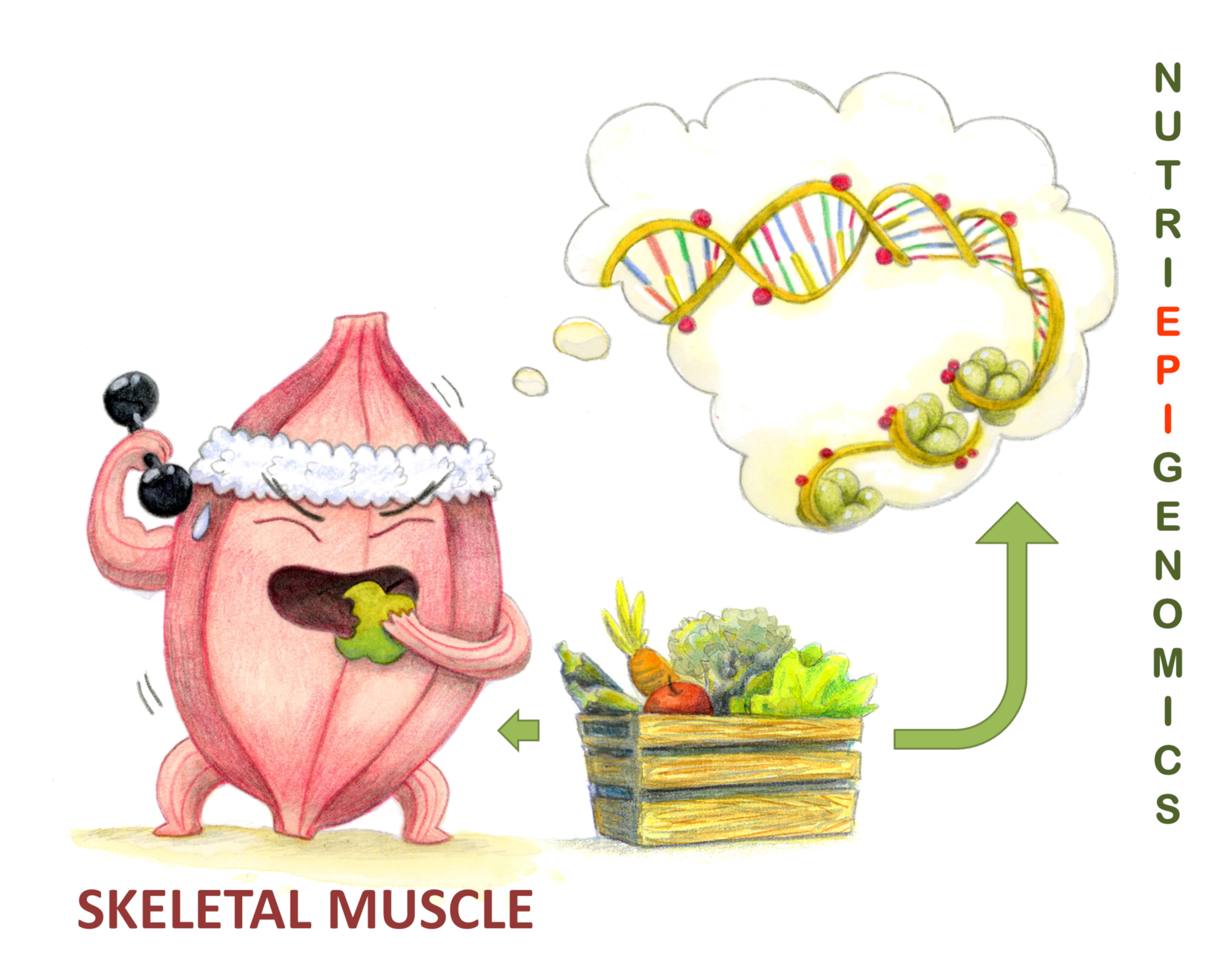Antioxidants 09 00498 g001