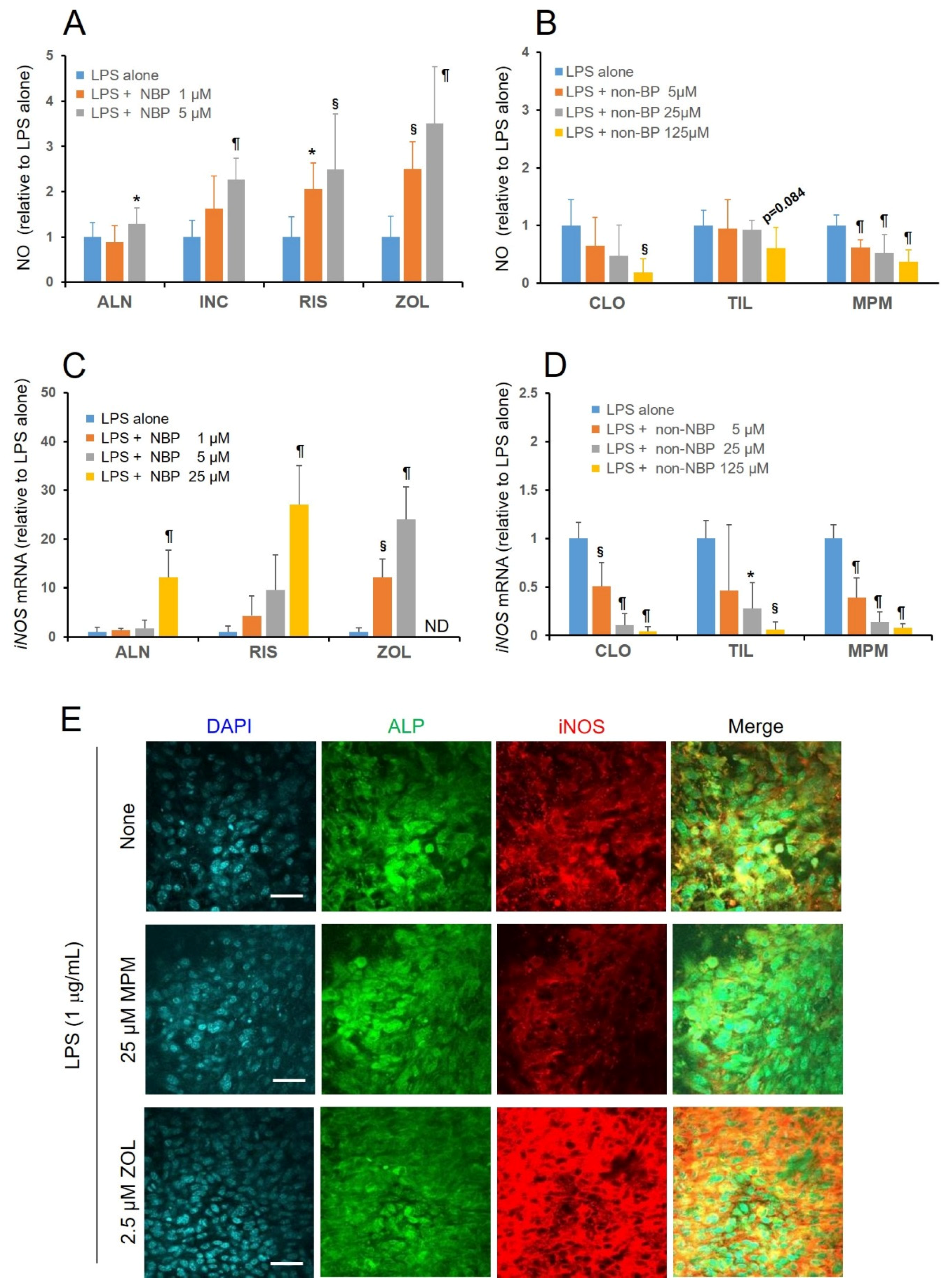 Antioxidants 09 00503 g005
