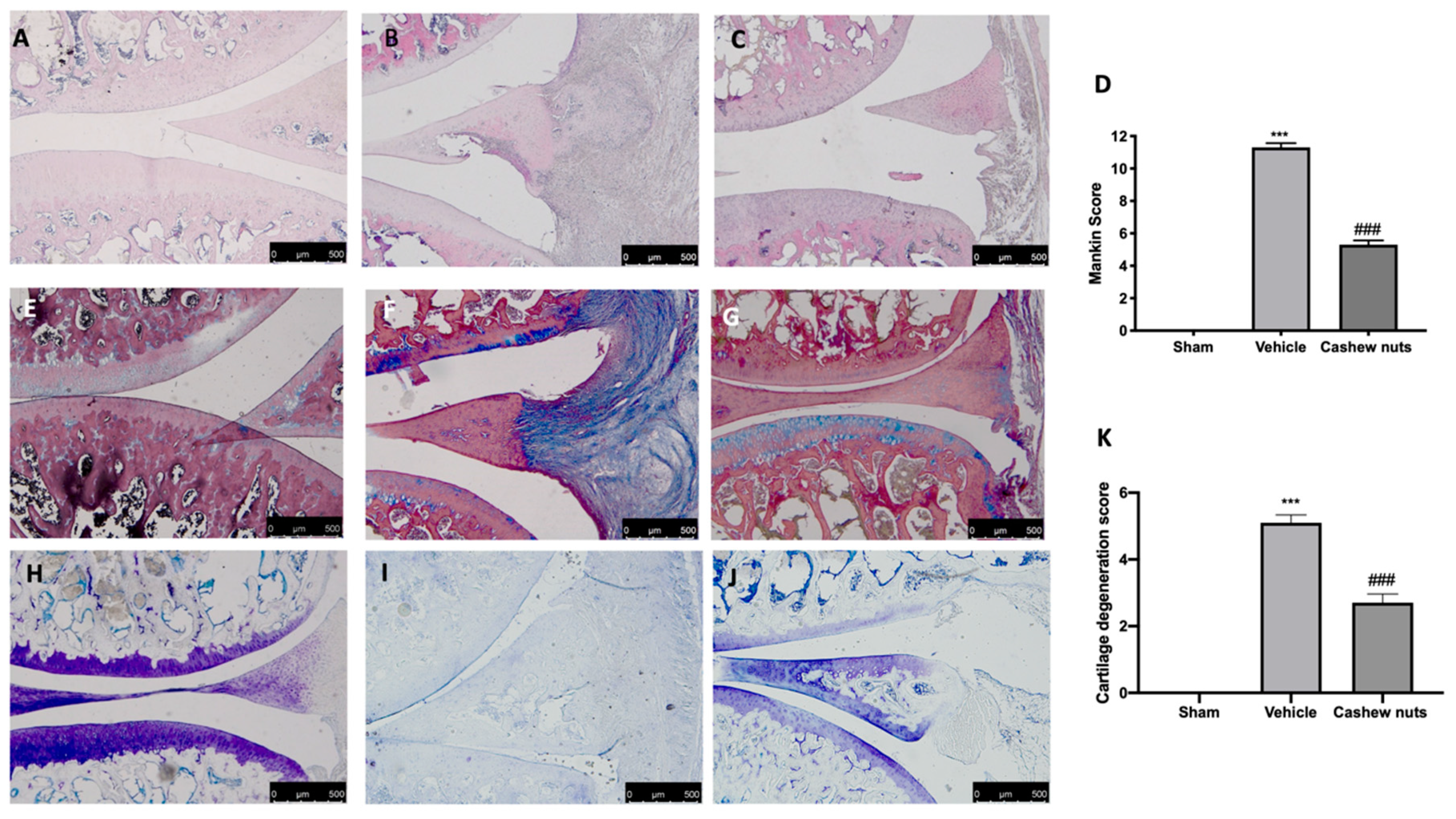 Antioxidants 09 00511 g005