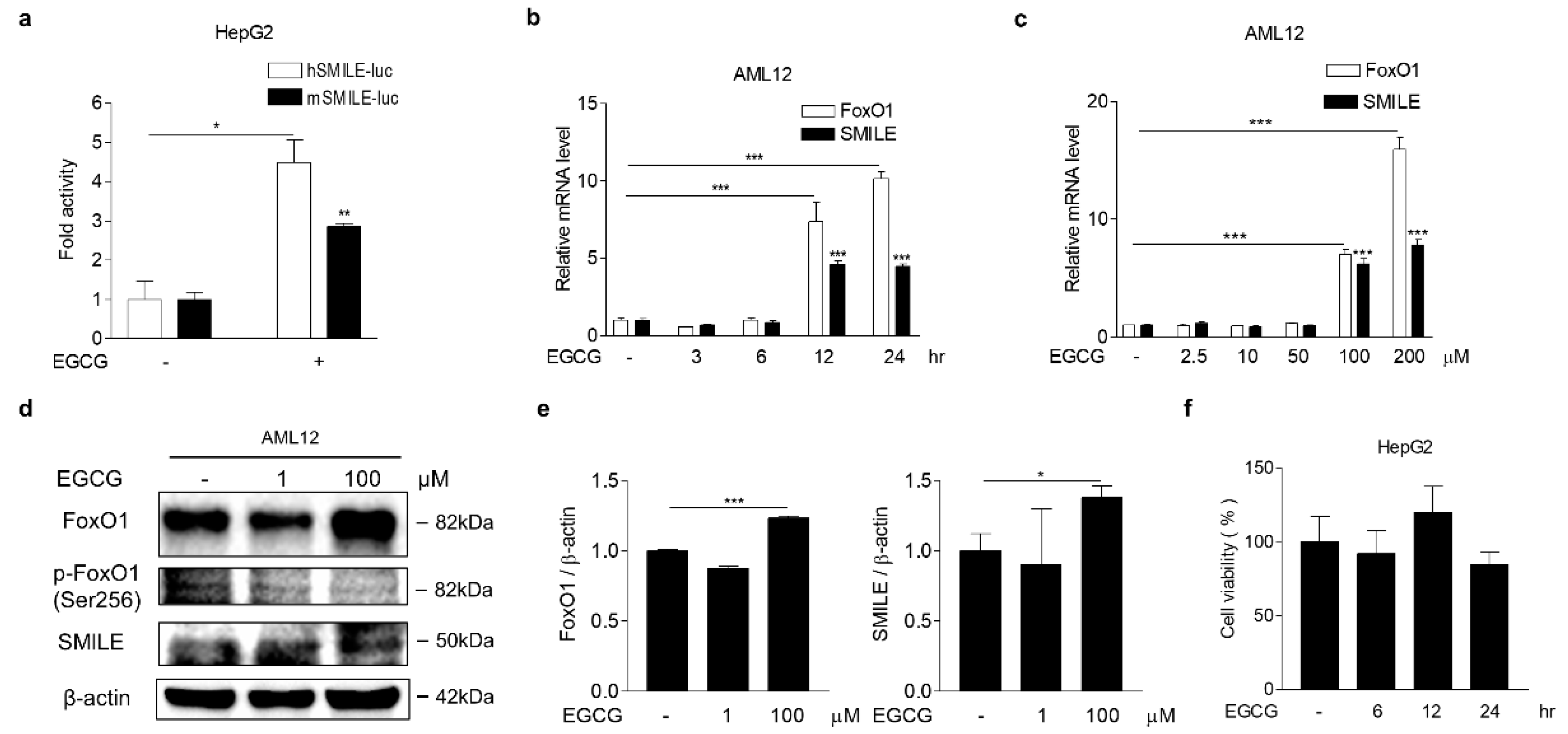 Antioxidants 09 00514 g004