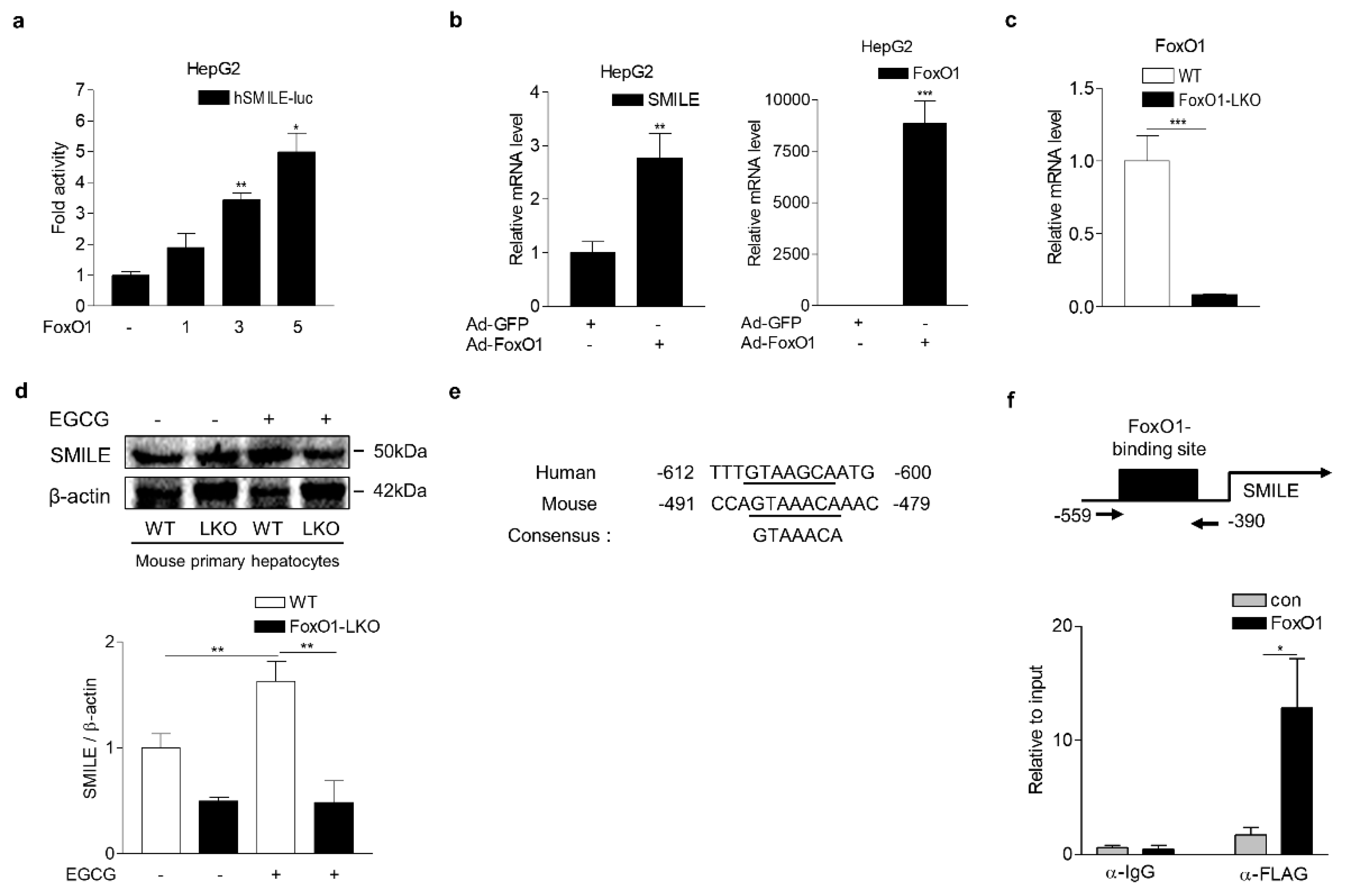 Antioxidants 09 00514 g005