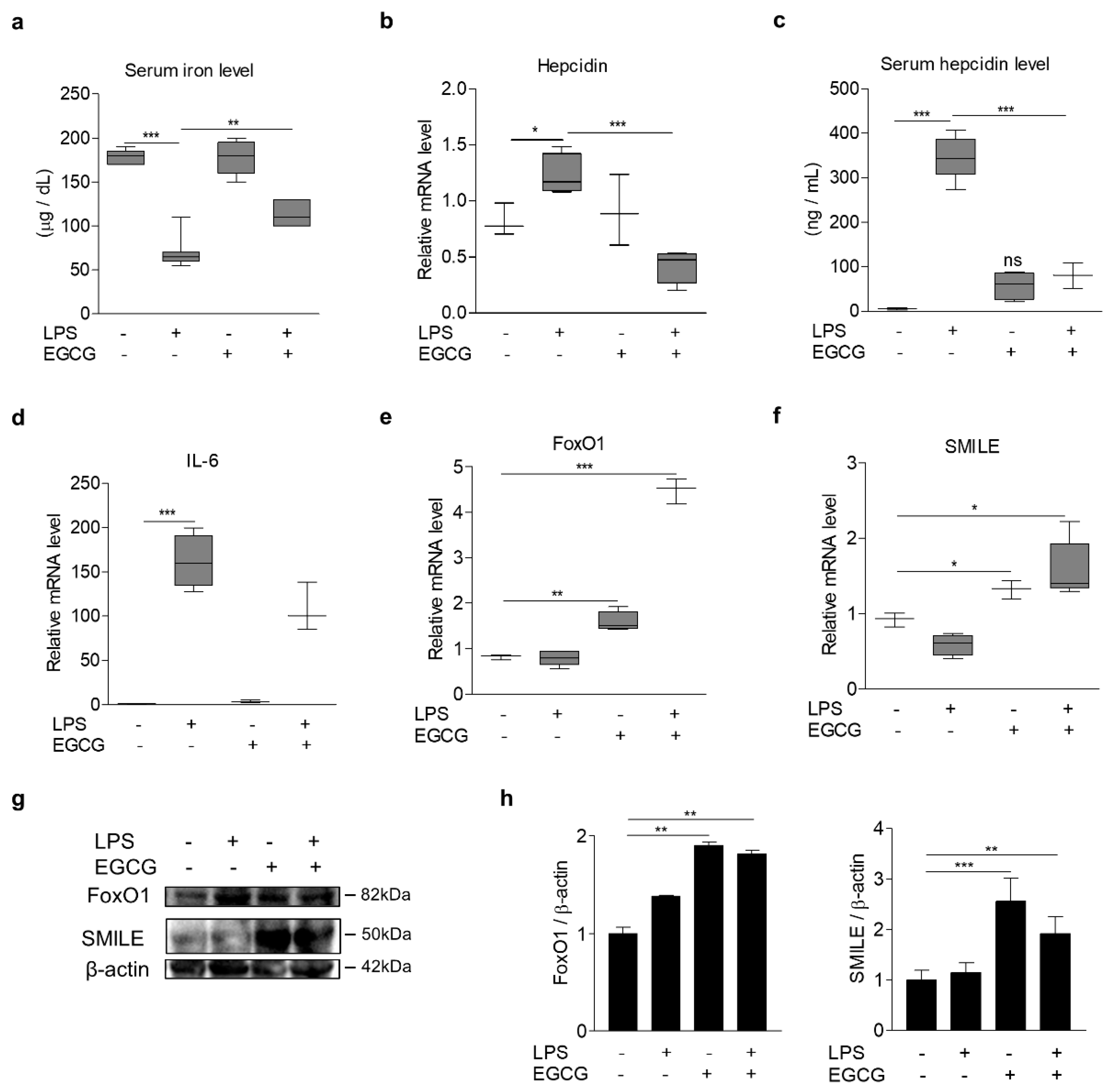 Antioxidants 09 00514 g007