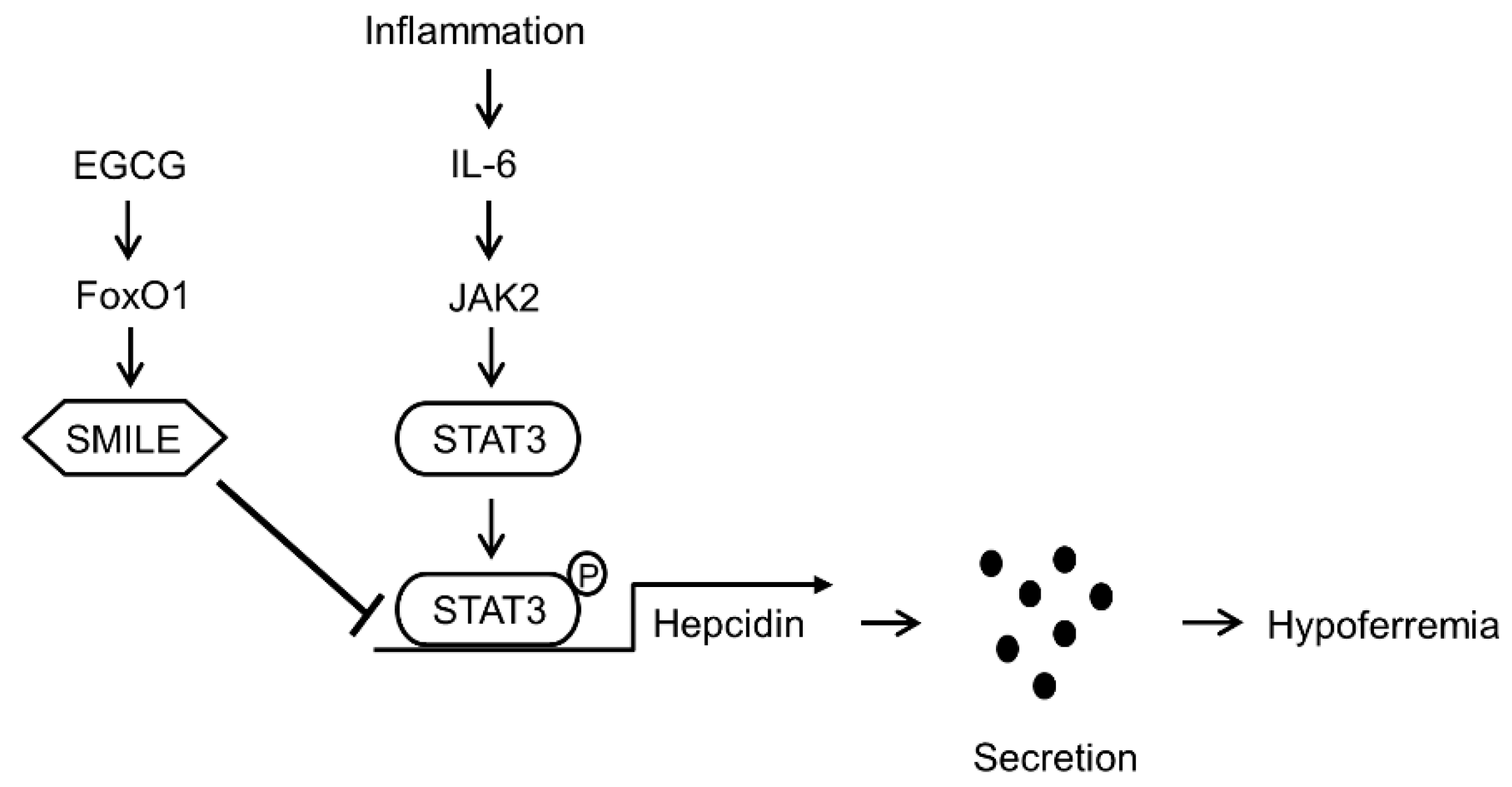 Antioxidants 09 00514 g008