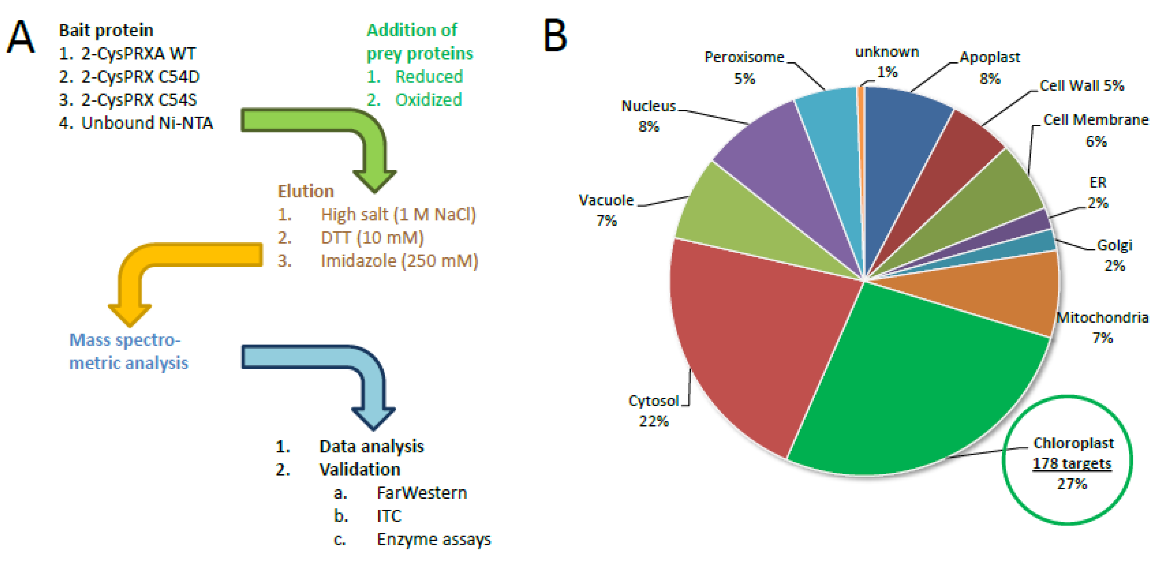 Antioxidants 09 00515 g001