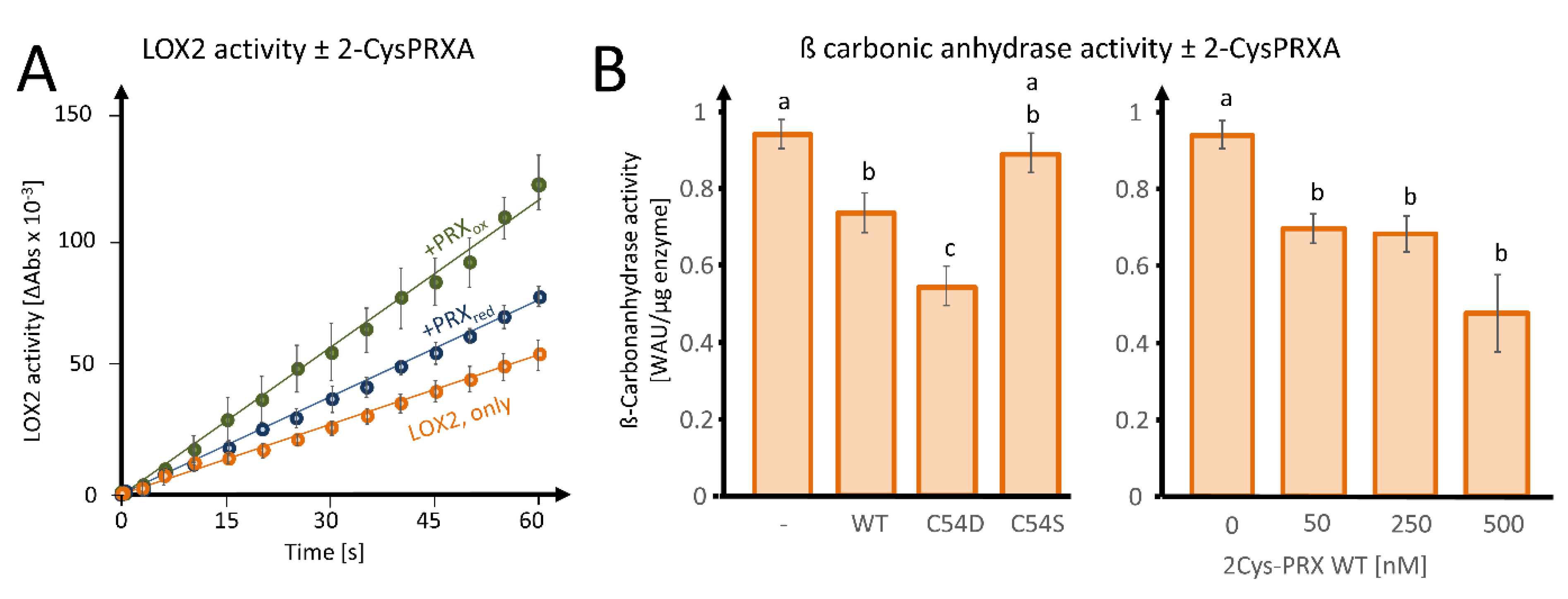 Antioxidants 09 00515 g006