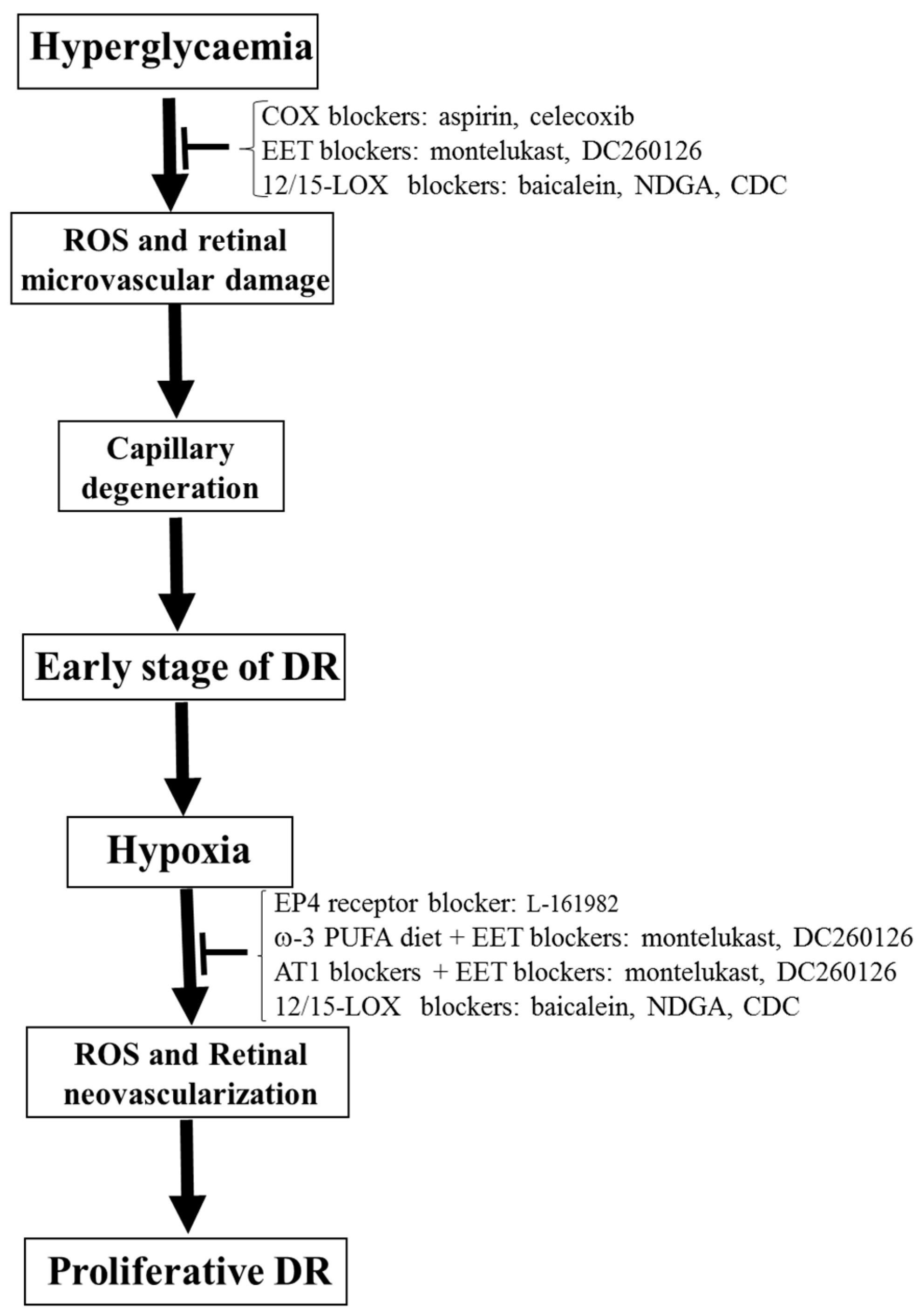 Antioxidants 09 00520 g006